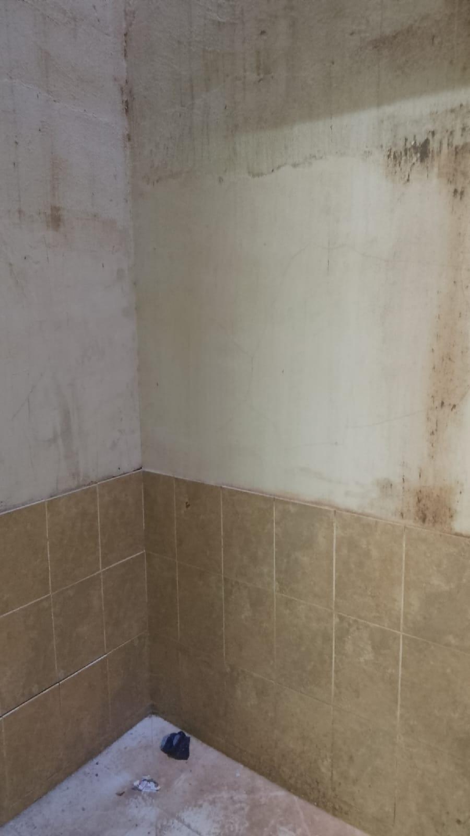  for sale commercial premise Cheda Arzúa 5