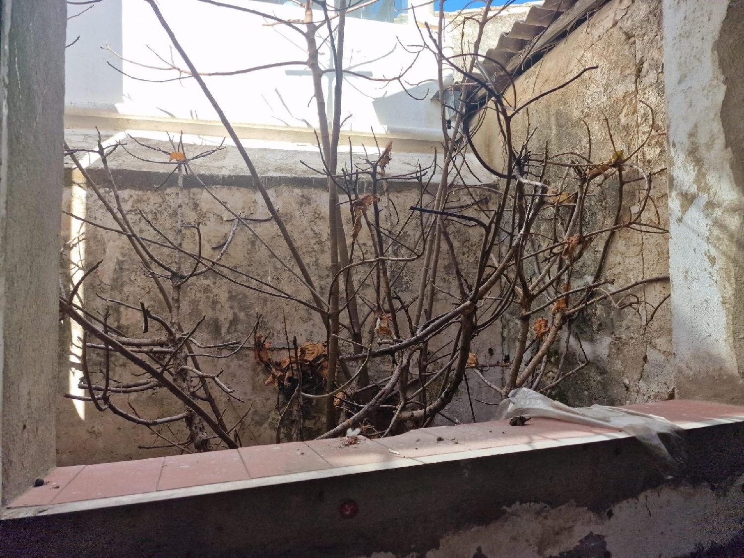  till salu lokal Chiclana De La Frontera Bahía De Cádiz 2