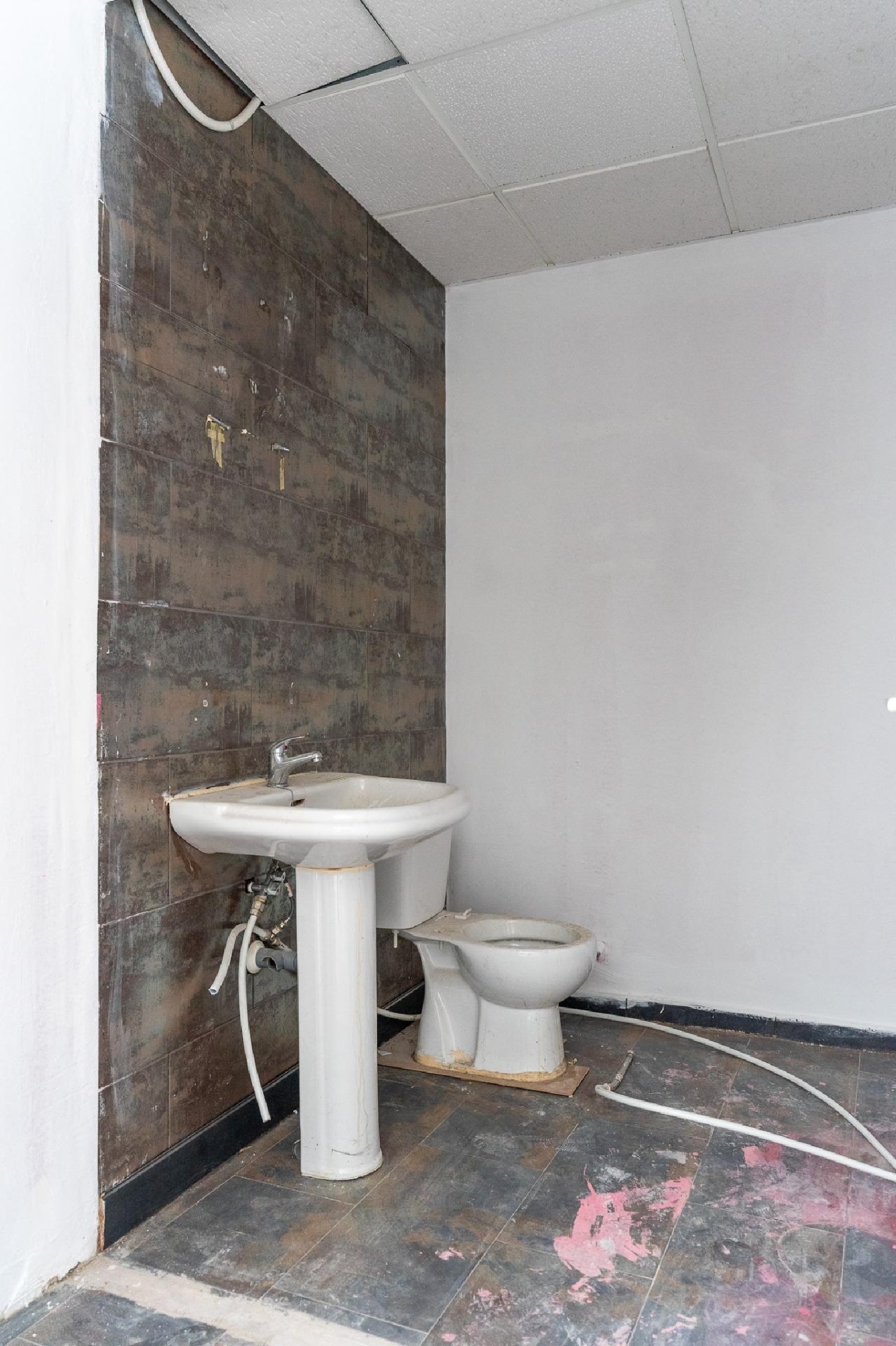  for sale commercial premise Molina De Segura Vega Media Del Segura 12