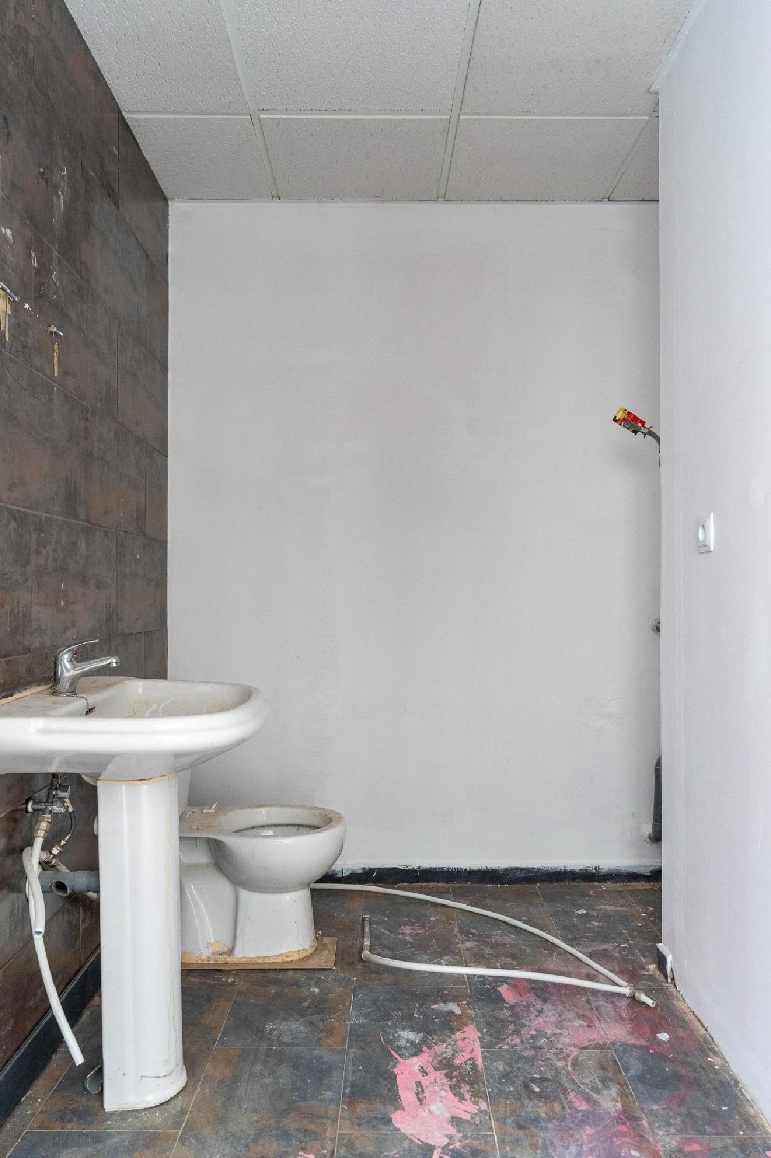  for sale commercial premise Molina De Segura Vega Media Del Segura 13