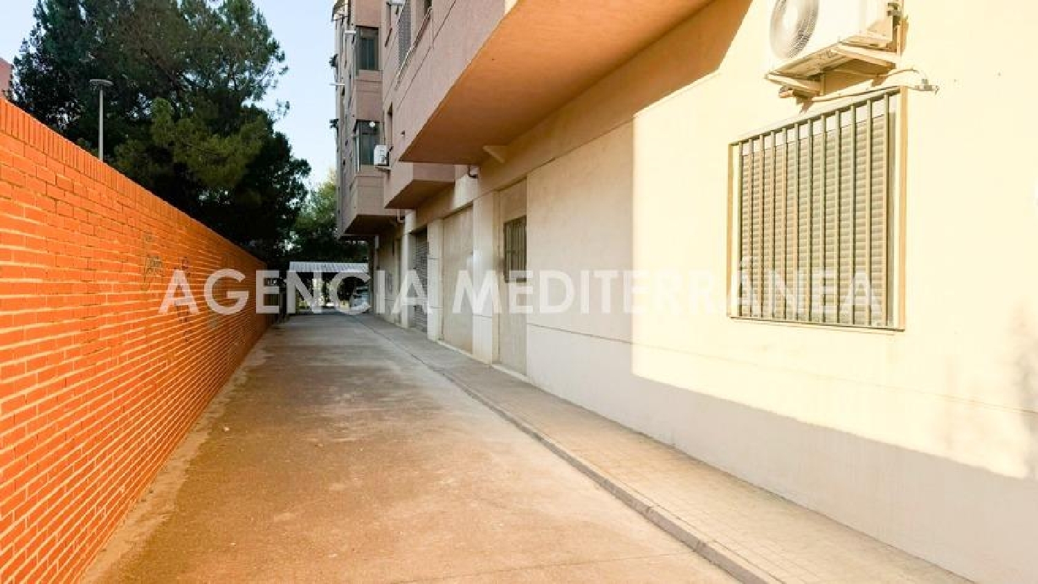  for sale commercial premise Paterna Del Madera Sierra Del Segura 5