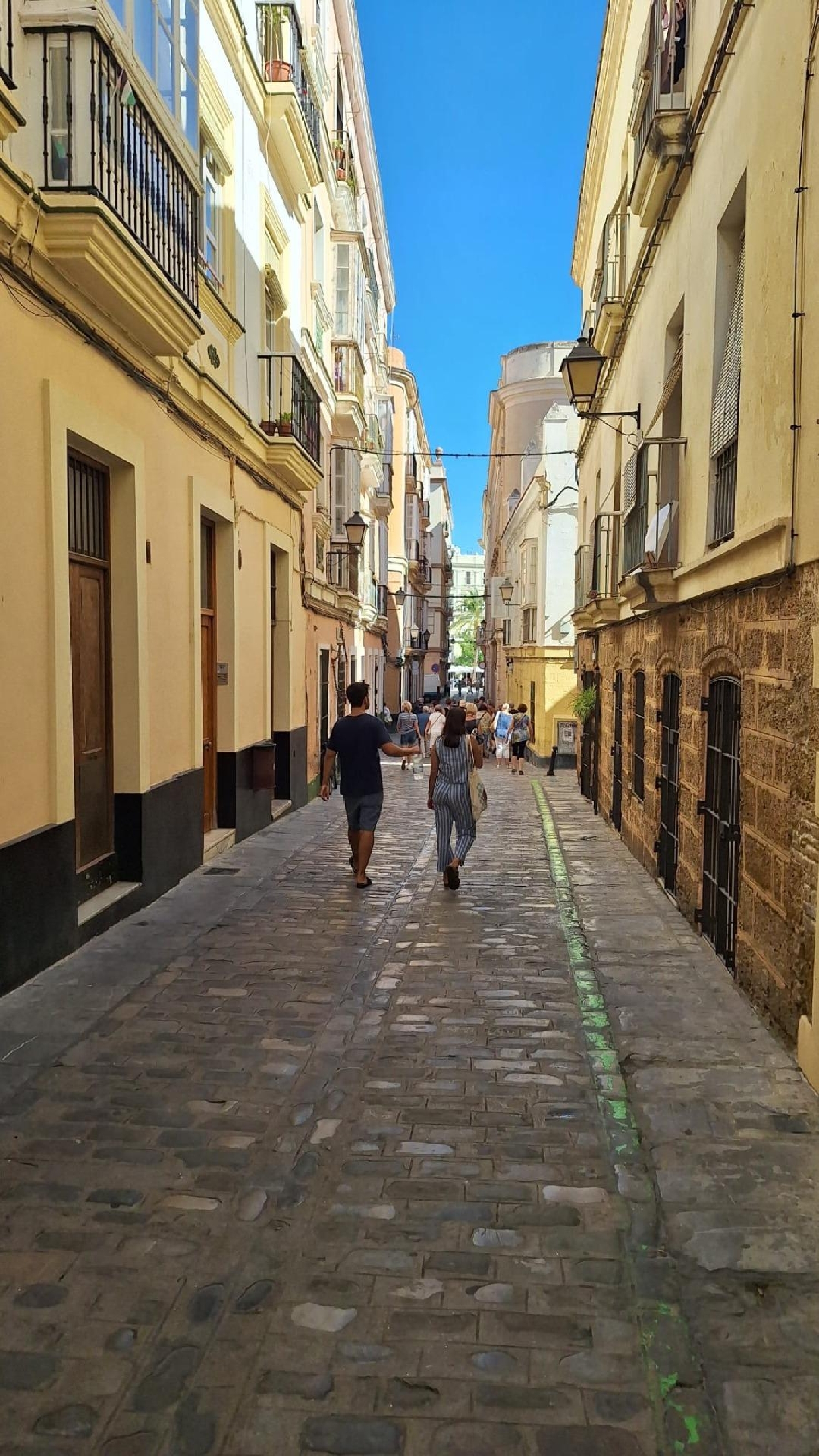 for sale commercial premise Picadizo Sar 6