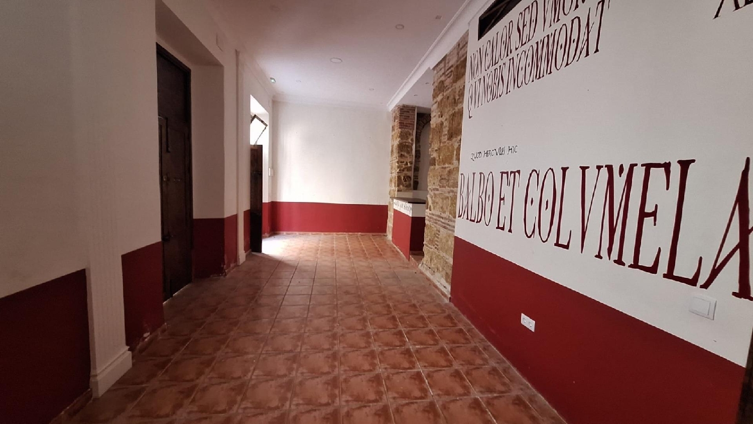  for sale commercial premise Picadizo Sar 4