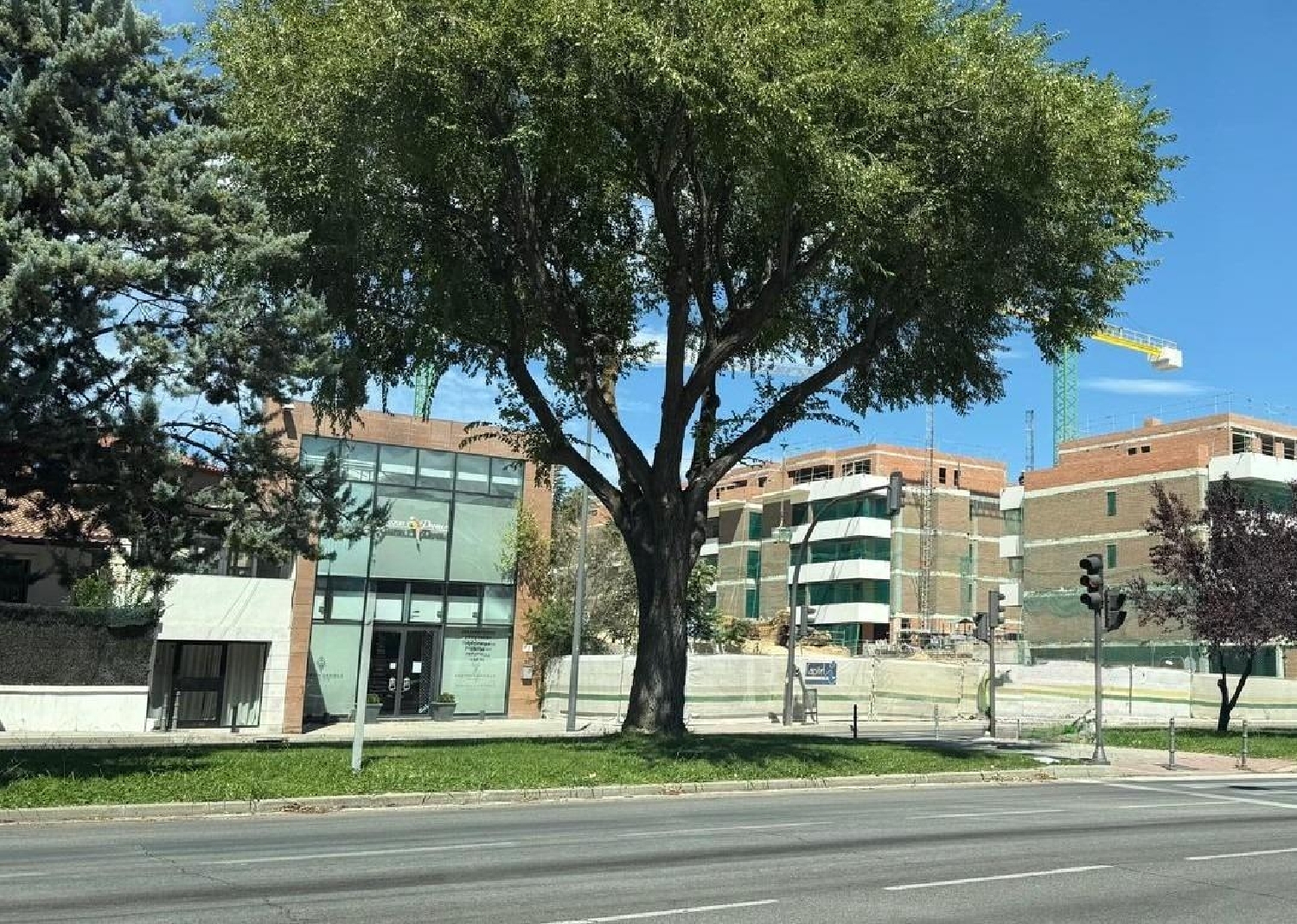  for sale commercial premise Pozuelo De Alarcon Cuenca Del Guadarrama 4