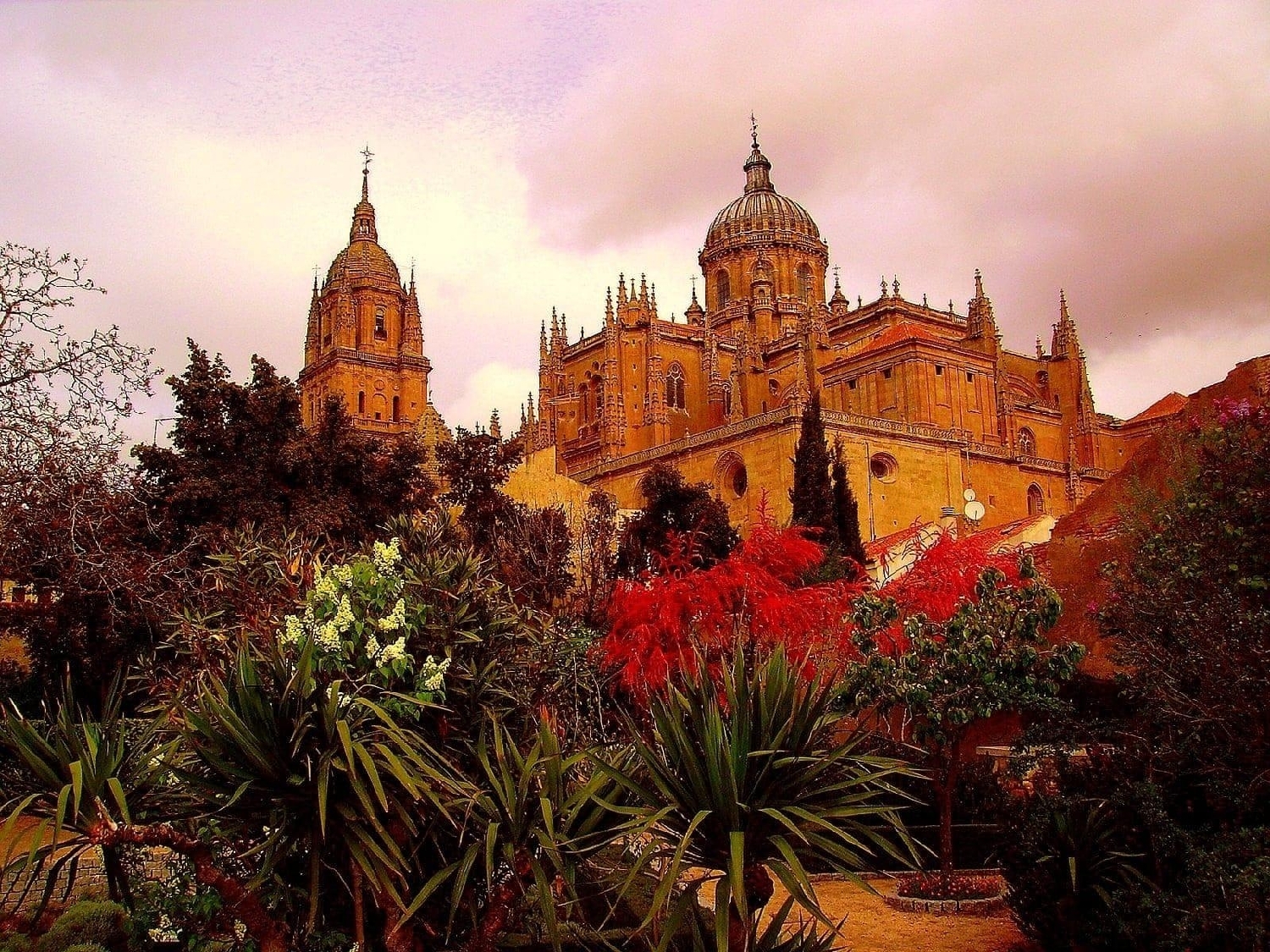  à vendre maison jumelée Doñinos De Salamanca Campo De Salamanca 5