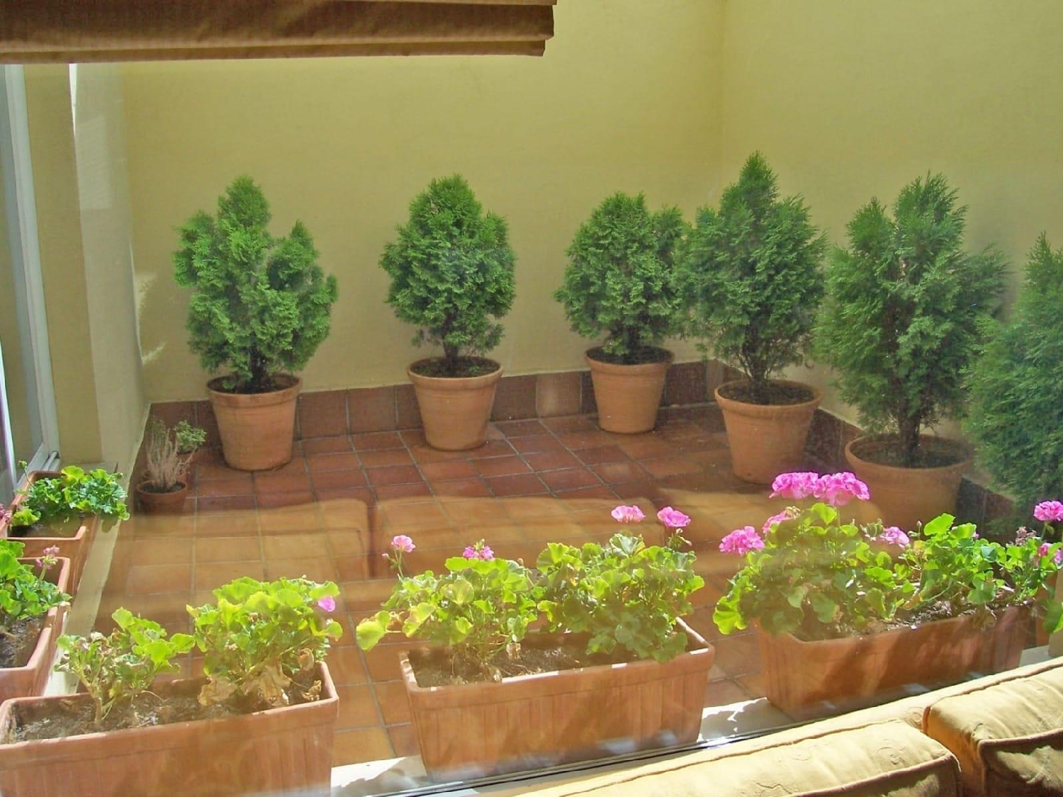  à vendre maison jumelée Doñinos De Salamanca Campo De Salamanca 8
