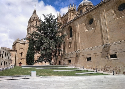 Doñinos De Salamanca Campo De Salamanca maison jumelée foto 6296285