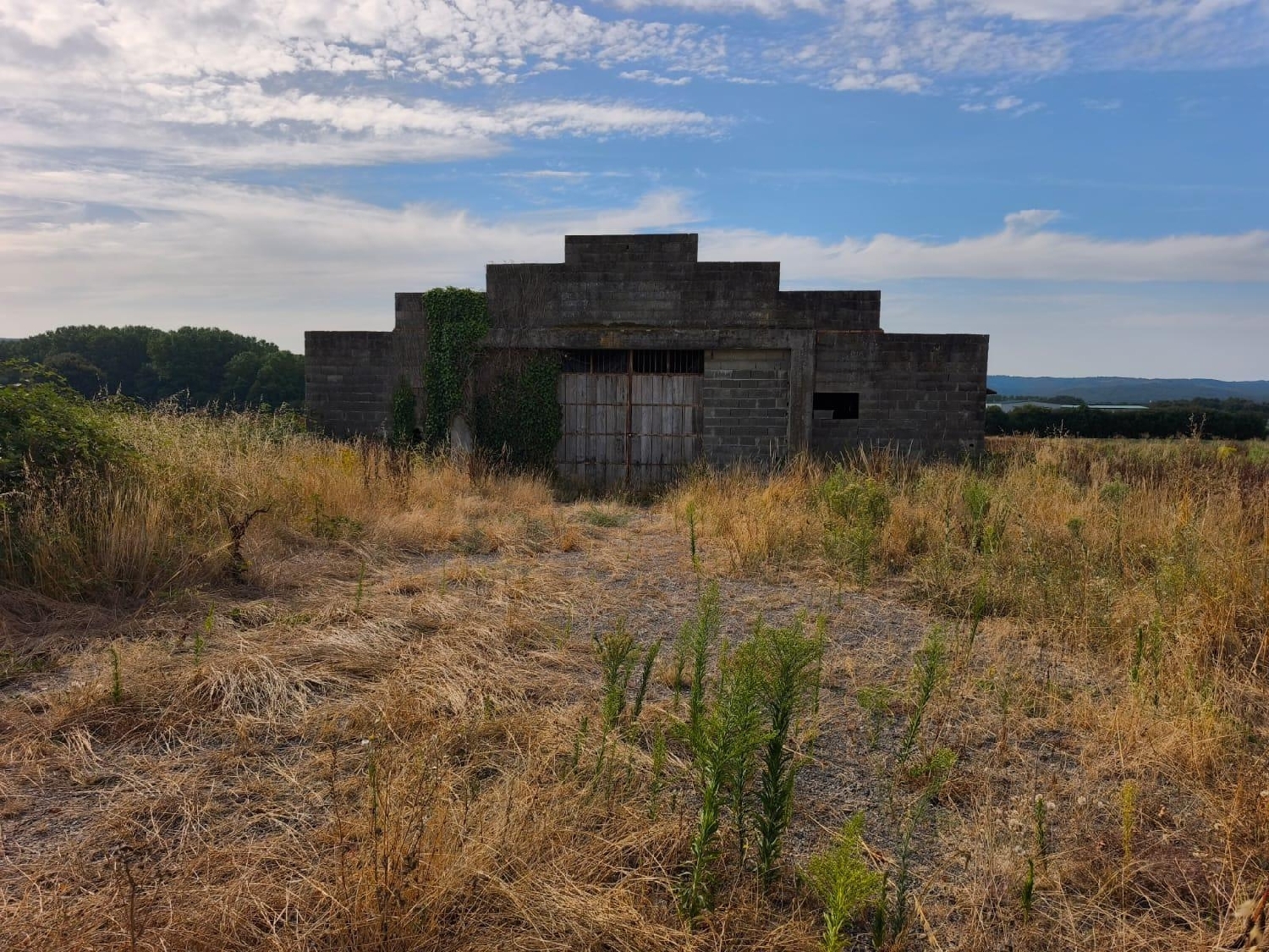  for sale shop Trasmiras Limia 1