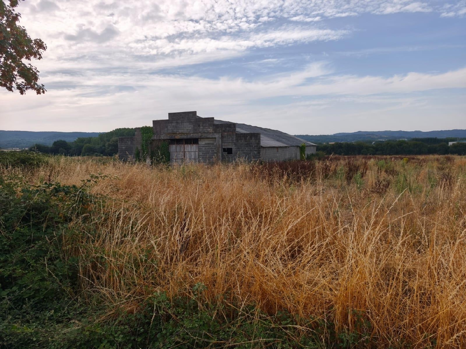 for sale shop Trasmiras Limia 2