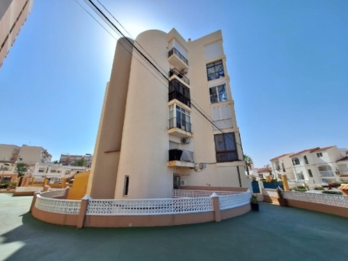 Torrevieja Baix Segura studio foto 6294719