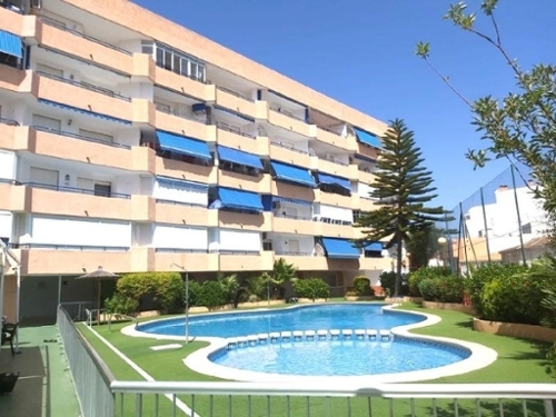 Torrevieja Baix Segura studio foto 6305087