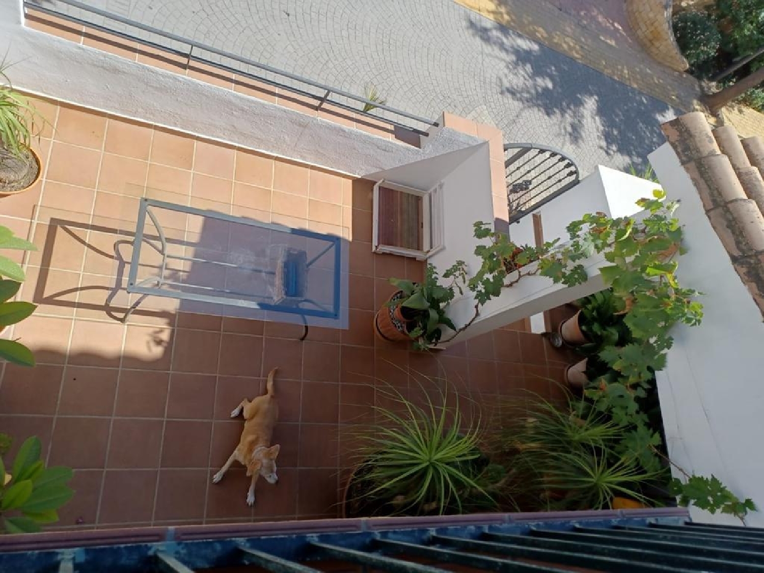  for sale terraced house Estepona Costa Del Sol Occidental 16