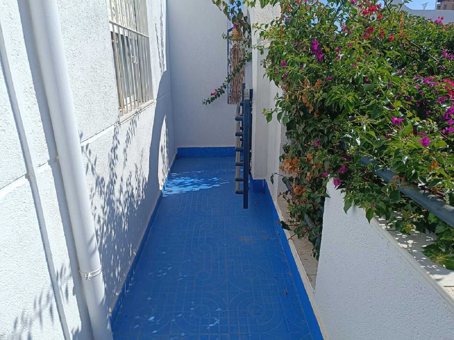  till salu radhus Torrevieja Baix Segura 33