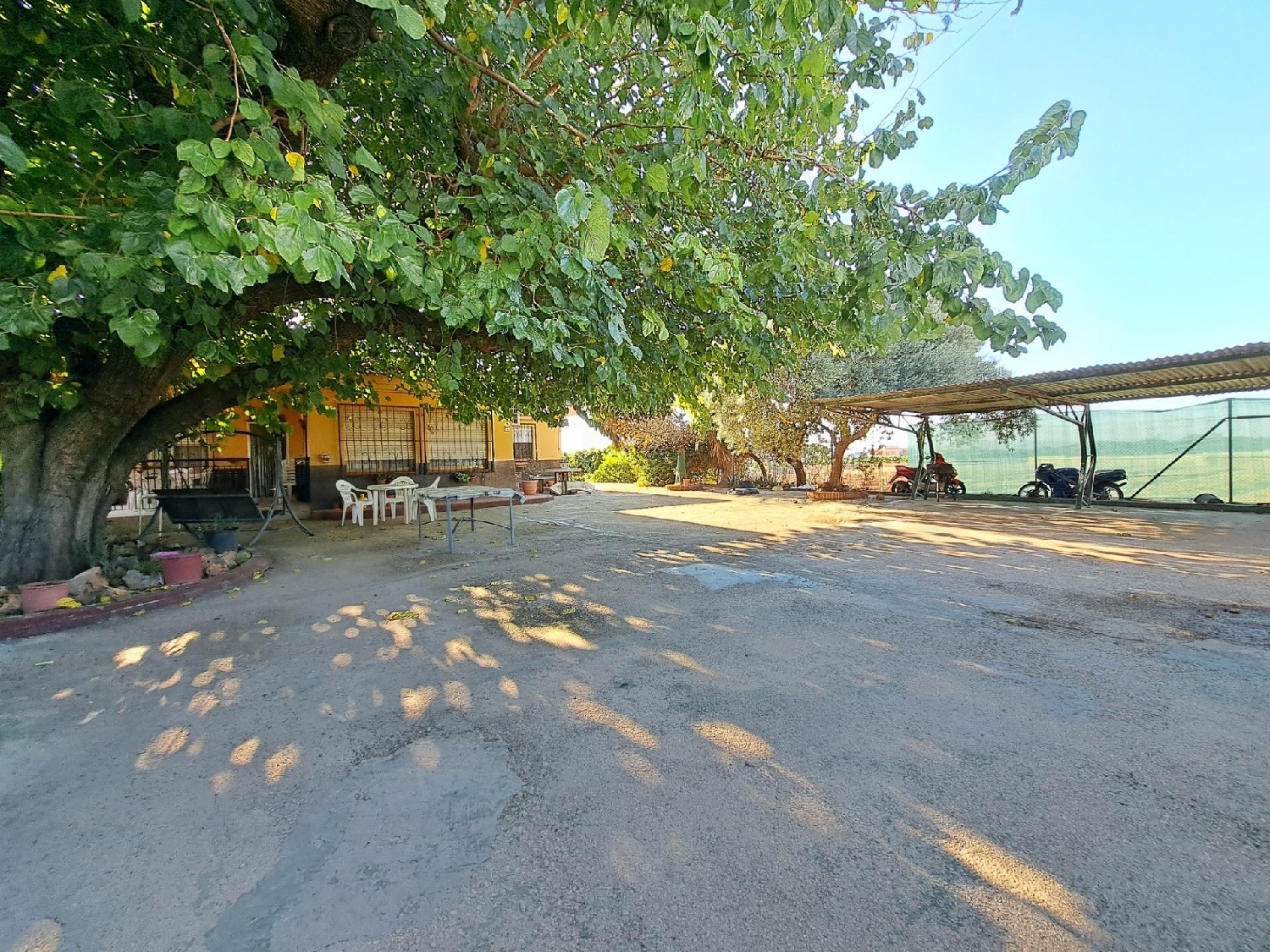 for sale villa Alzira Ribera Alta 3