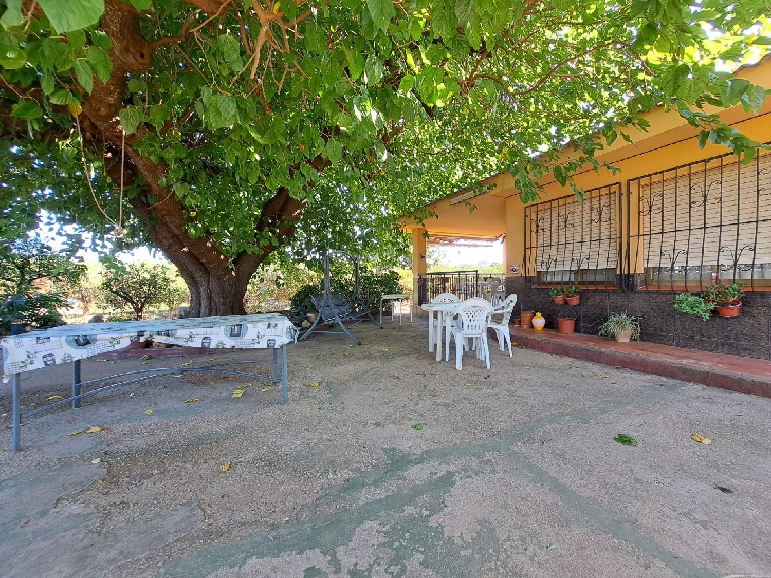  for sale villa Alzira Ribera Alta 6