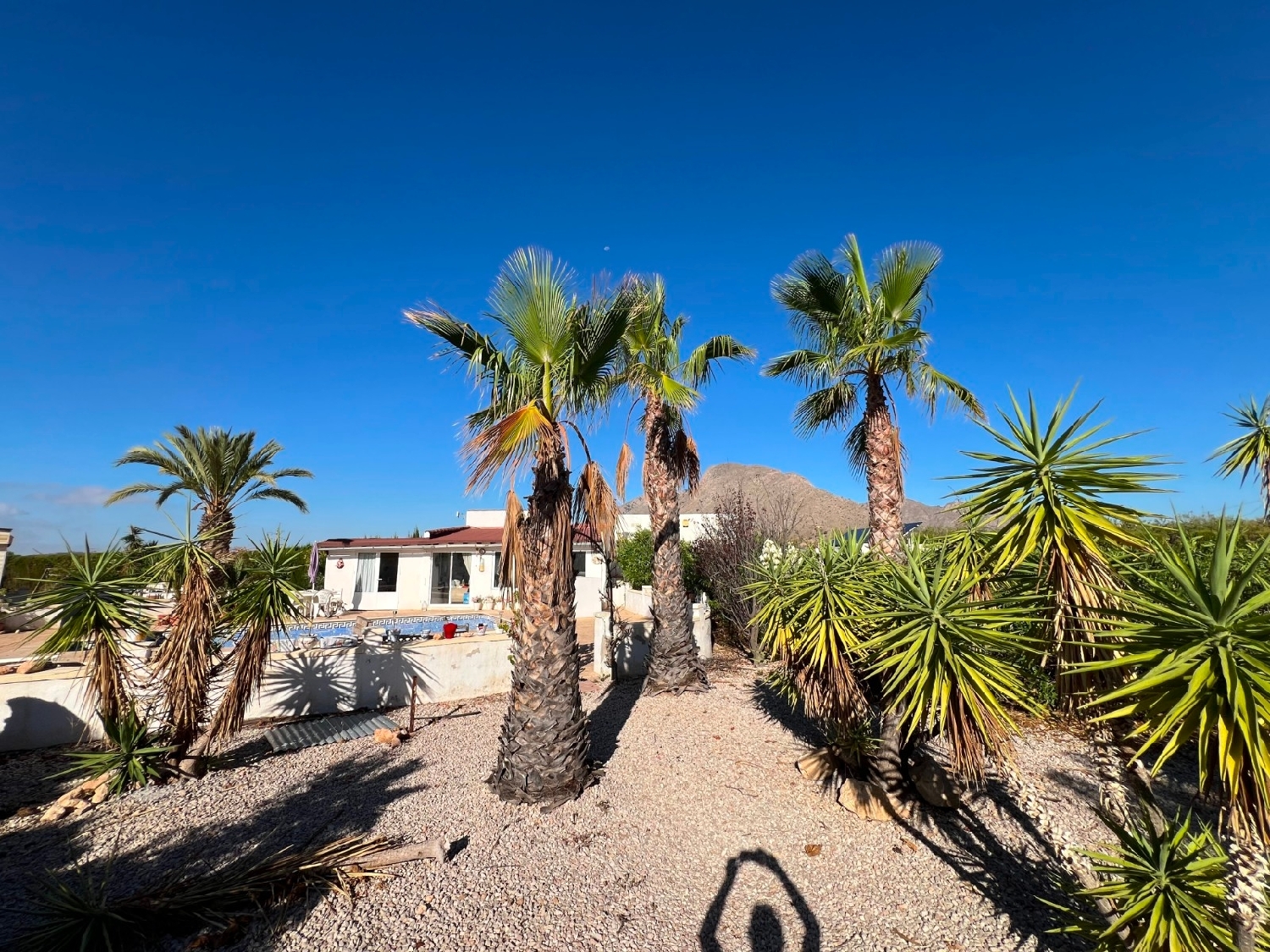  kaufen Villa Barbarroja Baix Segura 8