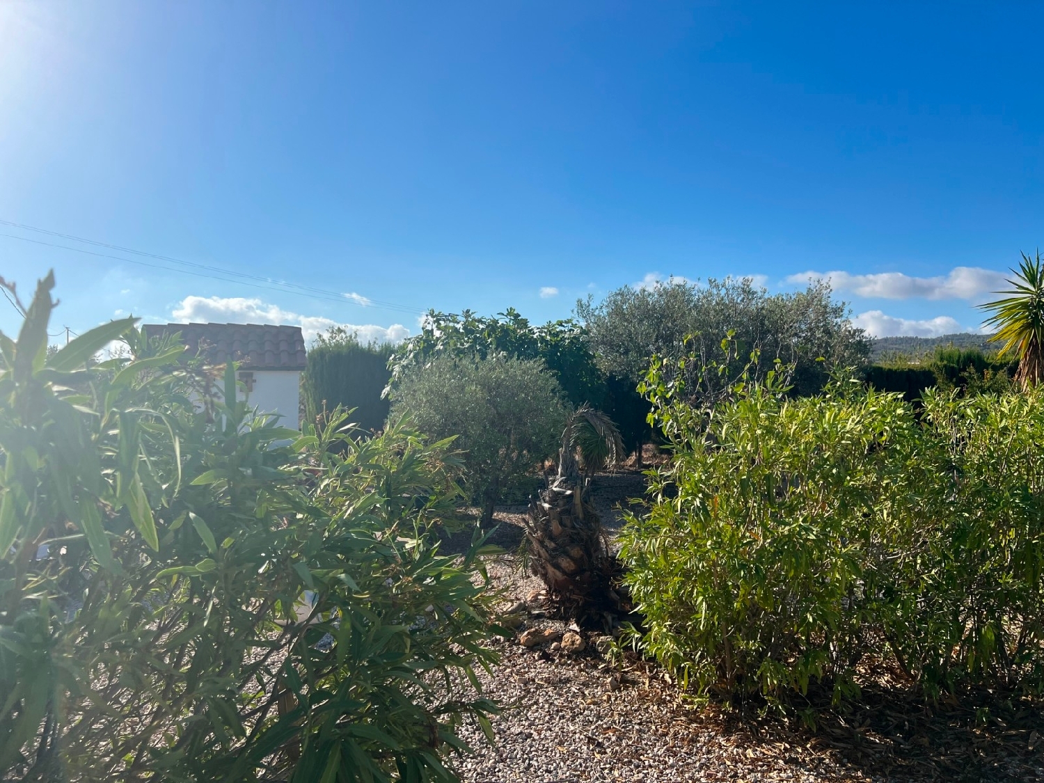  kaufen Villa Barbarroja Baix Segura 21