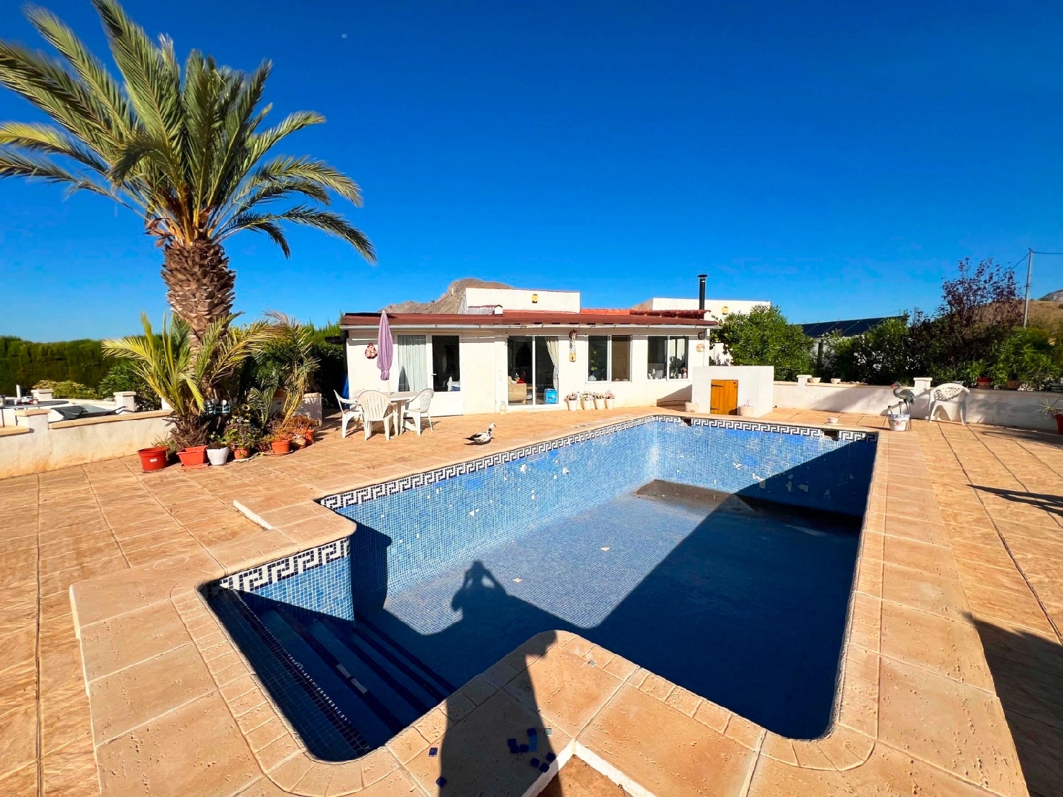  kaufen Villa Barbarroja Baix Segura 2