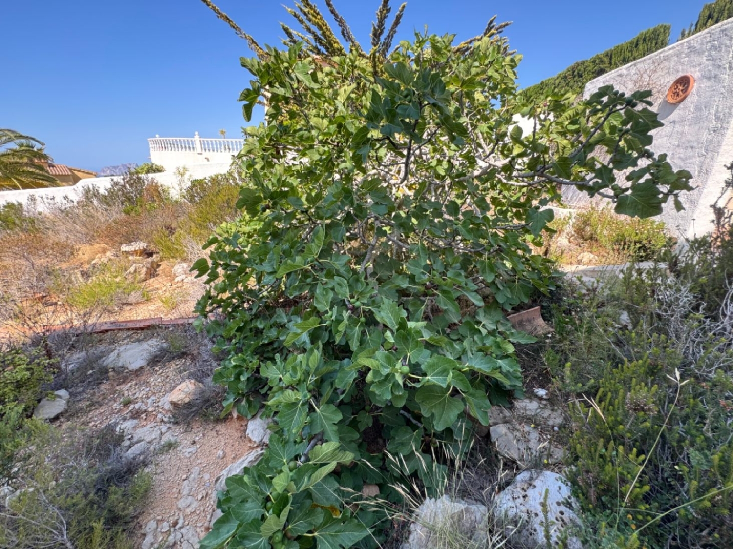  till salu villa Benitachell Marina Alta 14