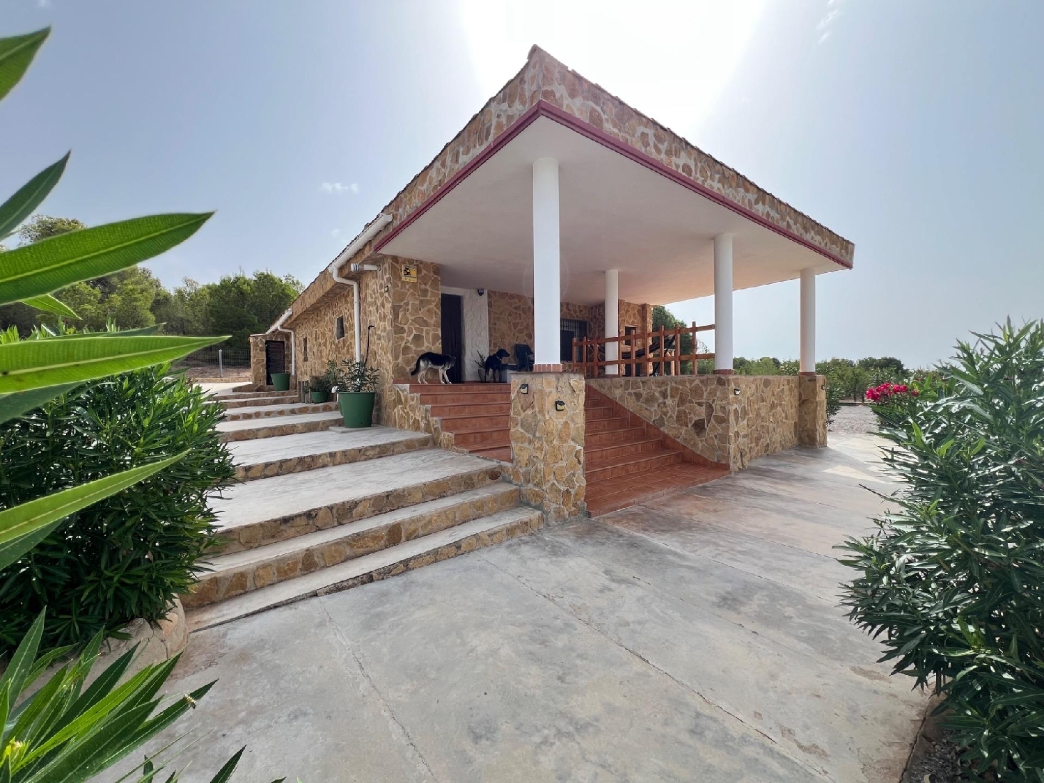 en venta chalet Camp De Lliria Camp De Túria 8