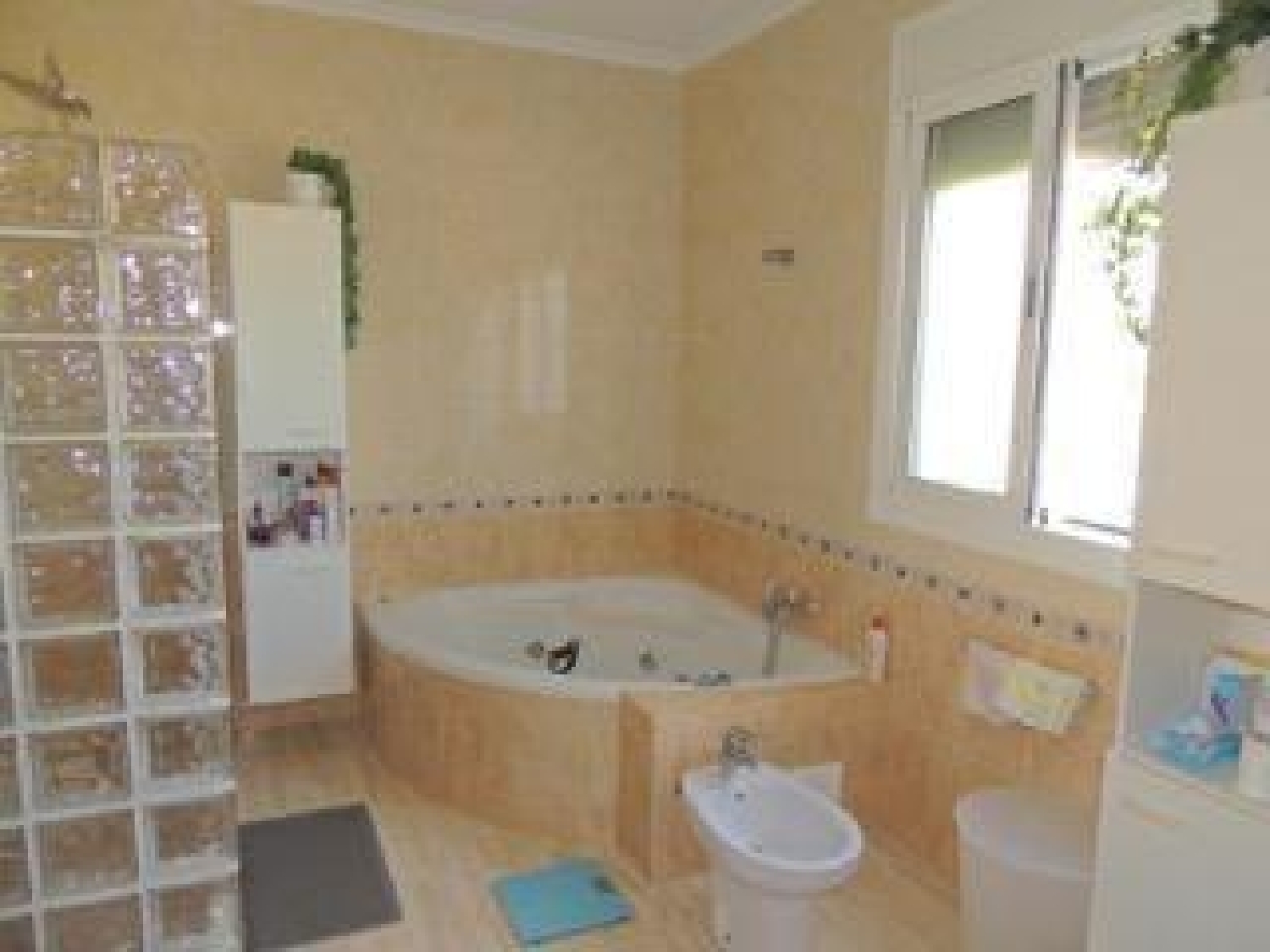  till salu villa Catral Baix Segura 8