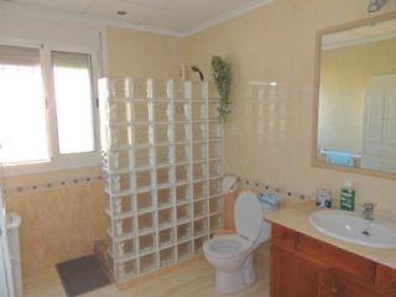  till salu villa Catral Baix Segura 3