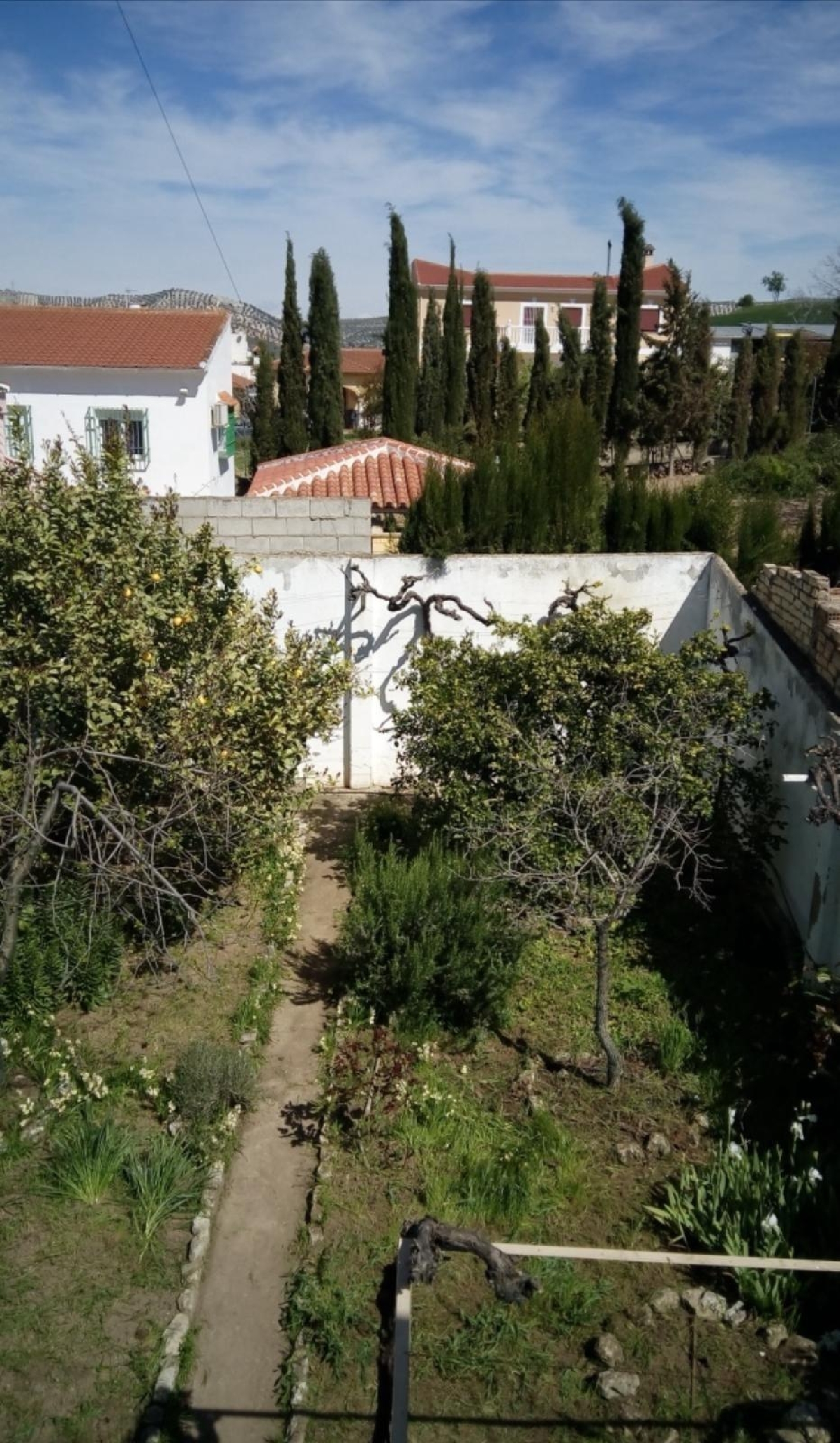  for sale villa Cuevas De San Marcos Nororma 2