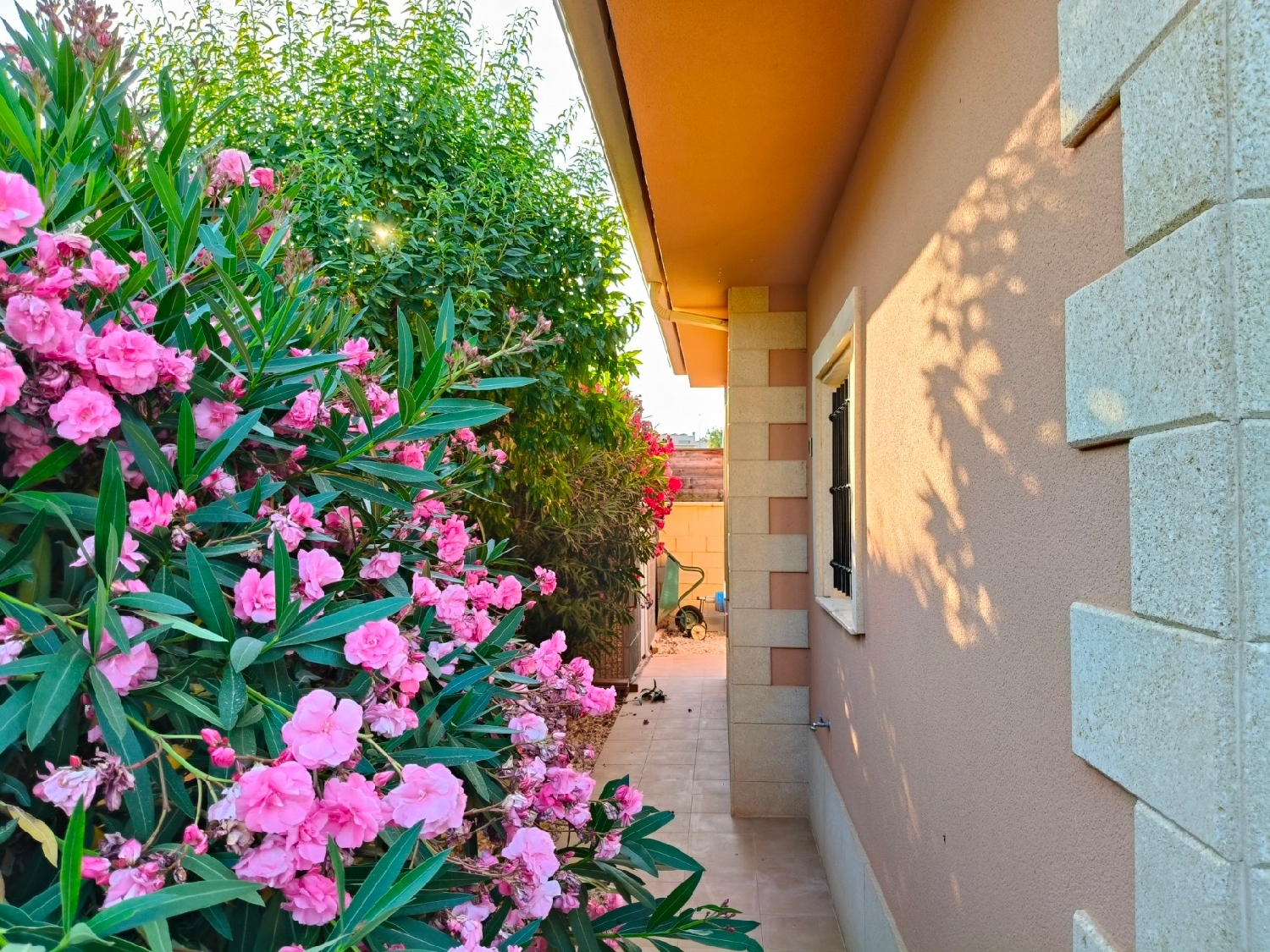  till salu villa La Romana Vinalopó Mitjà 4