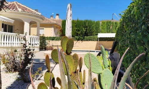 La Romana Vinalopó Mitjà villa foto 6301940