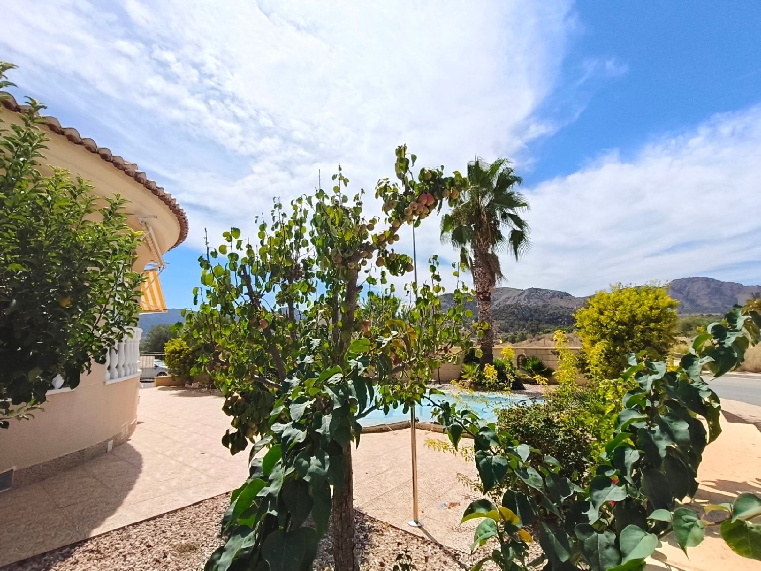  till salu villa La Romana Vinalopó Mitjà 7