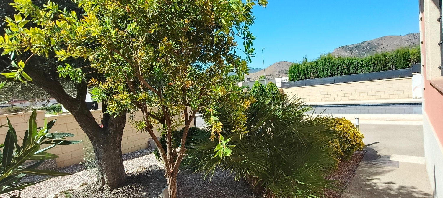  te koop villa La Romana Vinalopó Mitjà 6