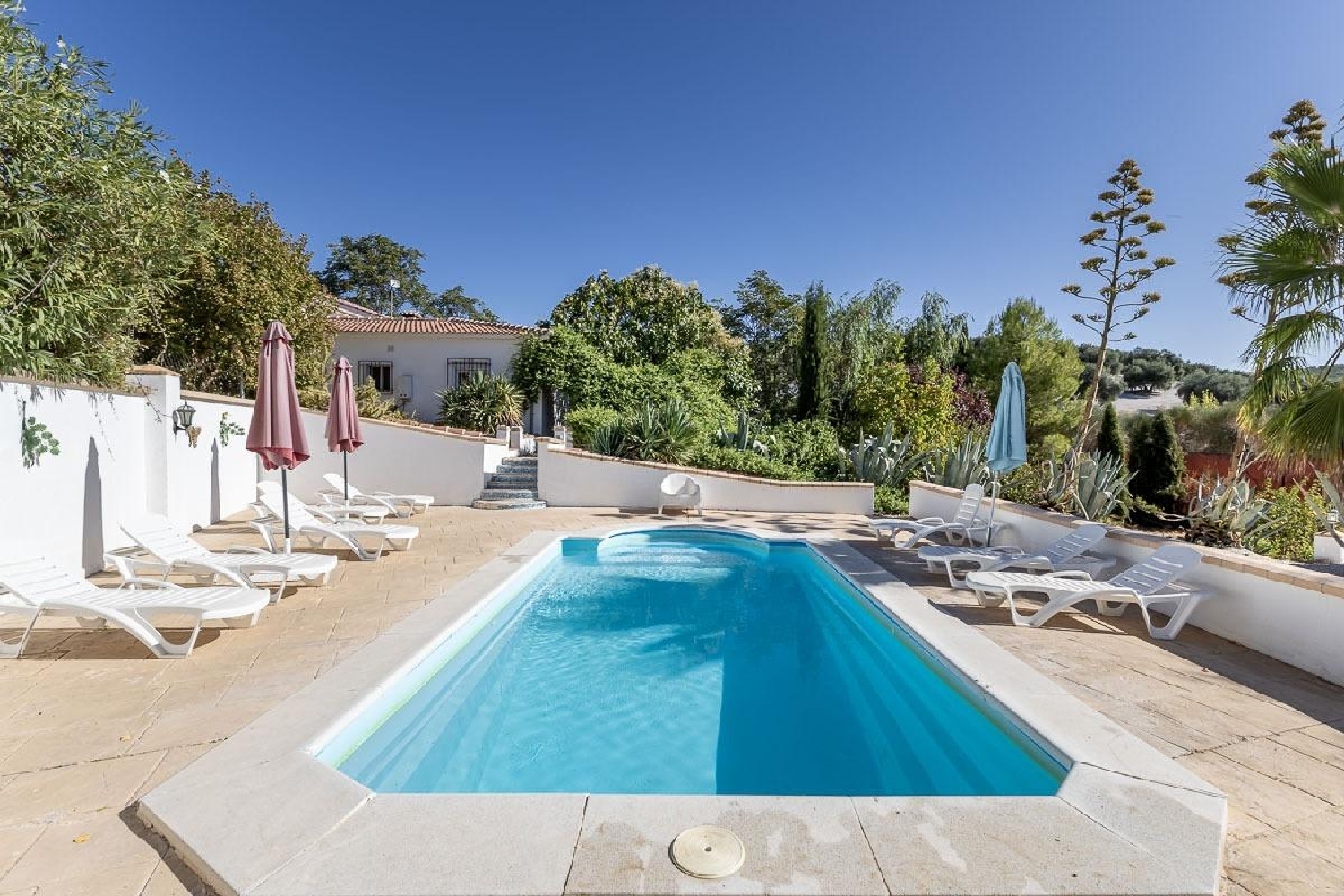  for sale villa Montefrio Loja 1