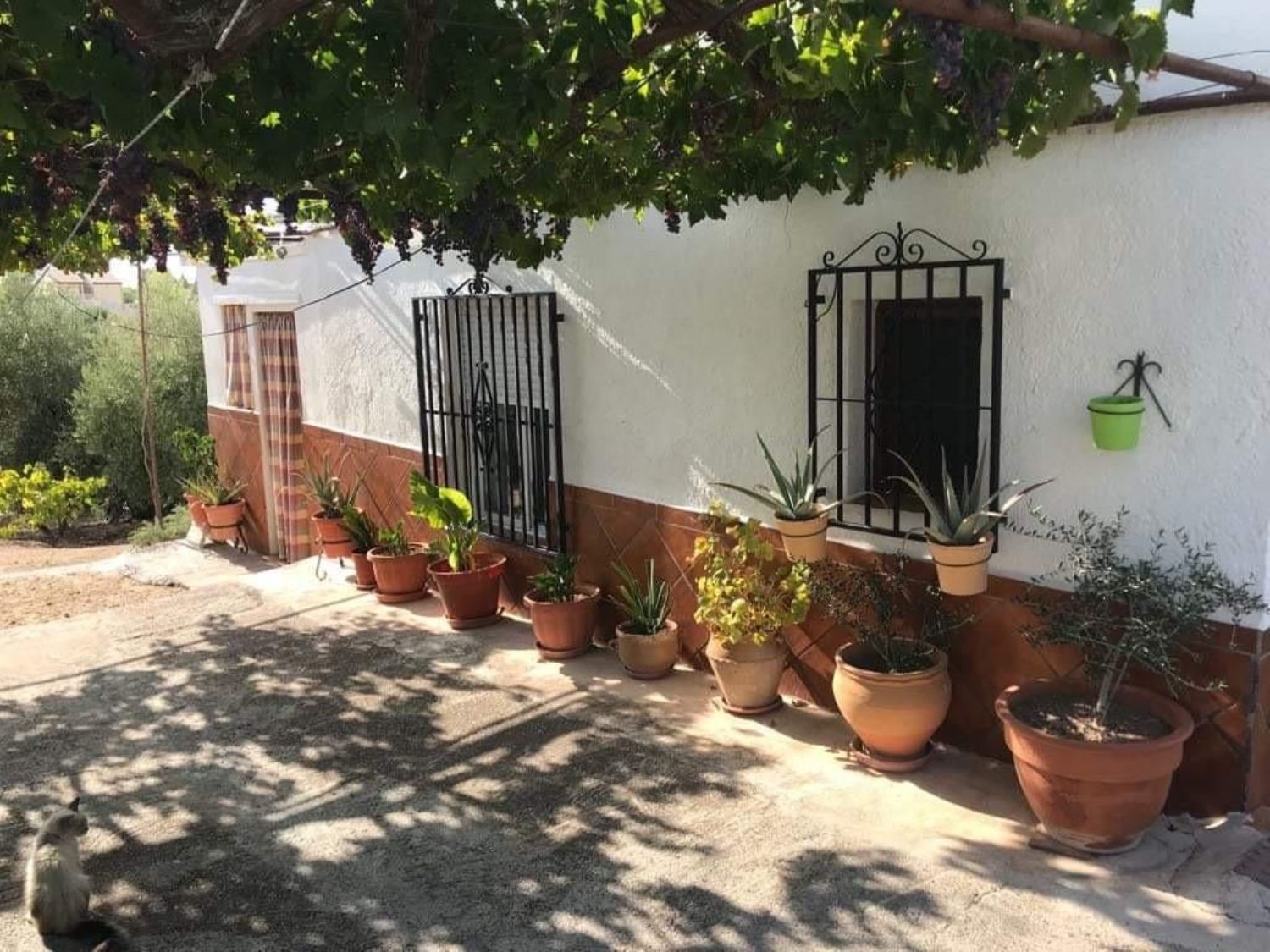  for sale villa Moraleda De Zafayona Loja 6