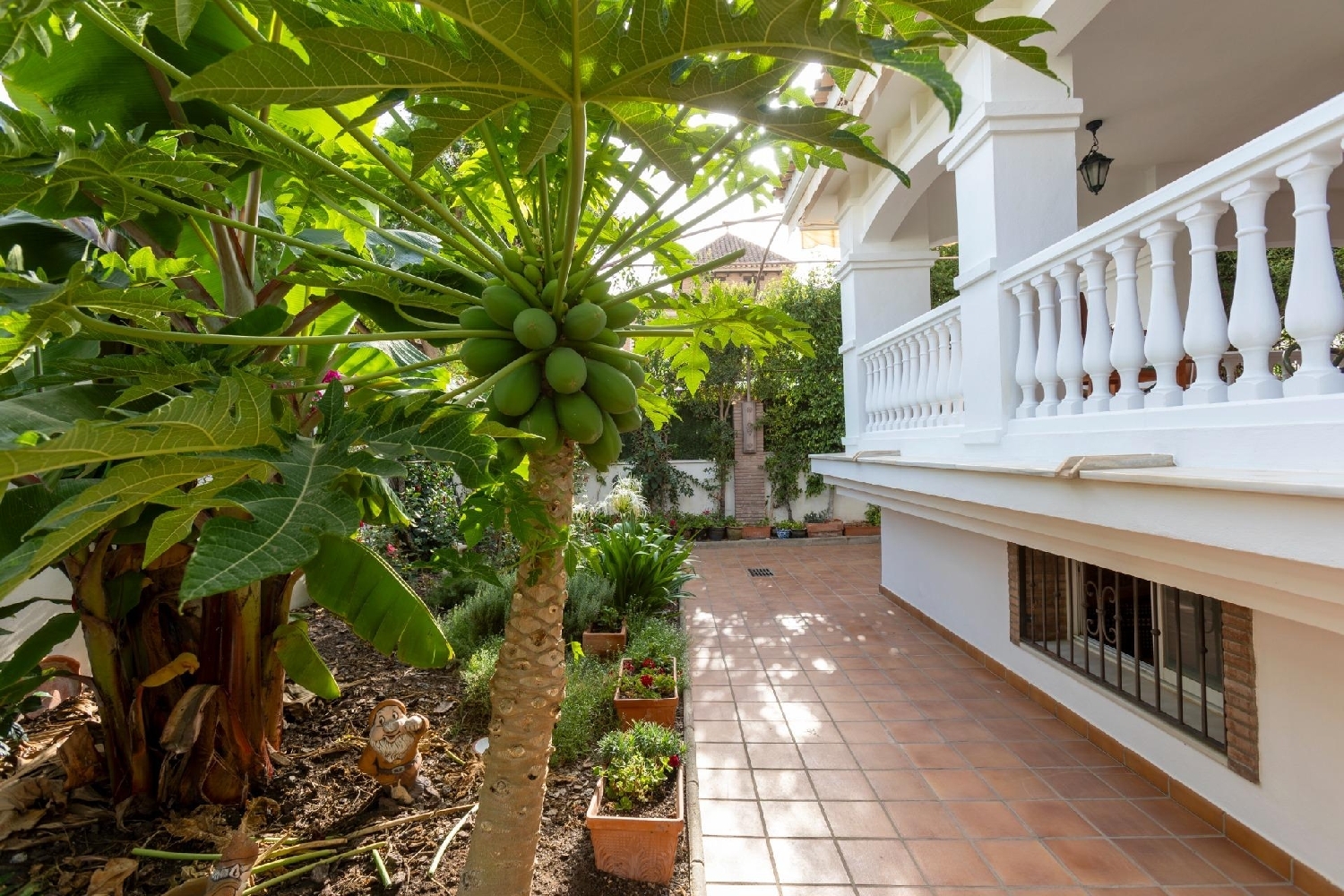  te koop villa Motril Costa Tropical 6
