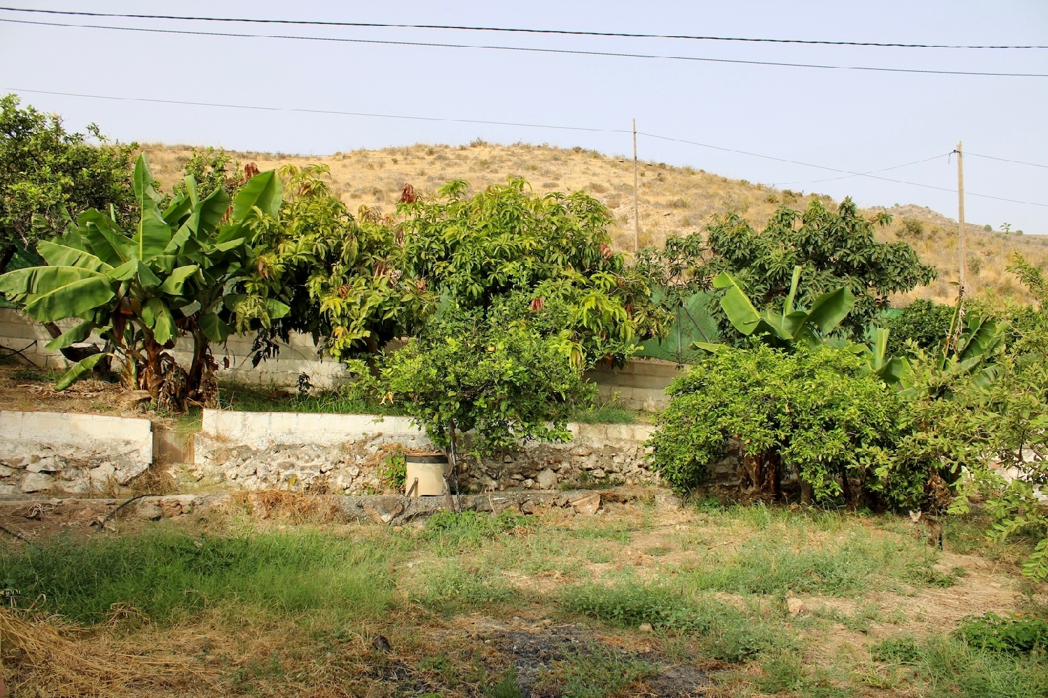  à vendre villa Nerja Axarquía 6