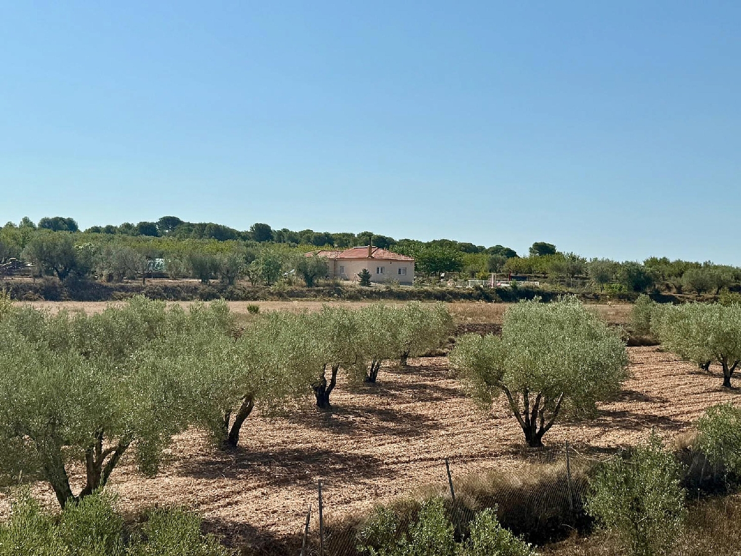  à vendre villa Onil Alcoia 4