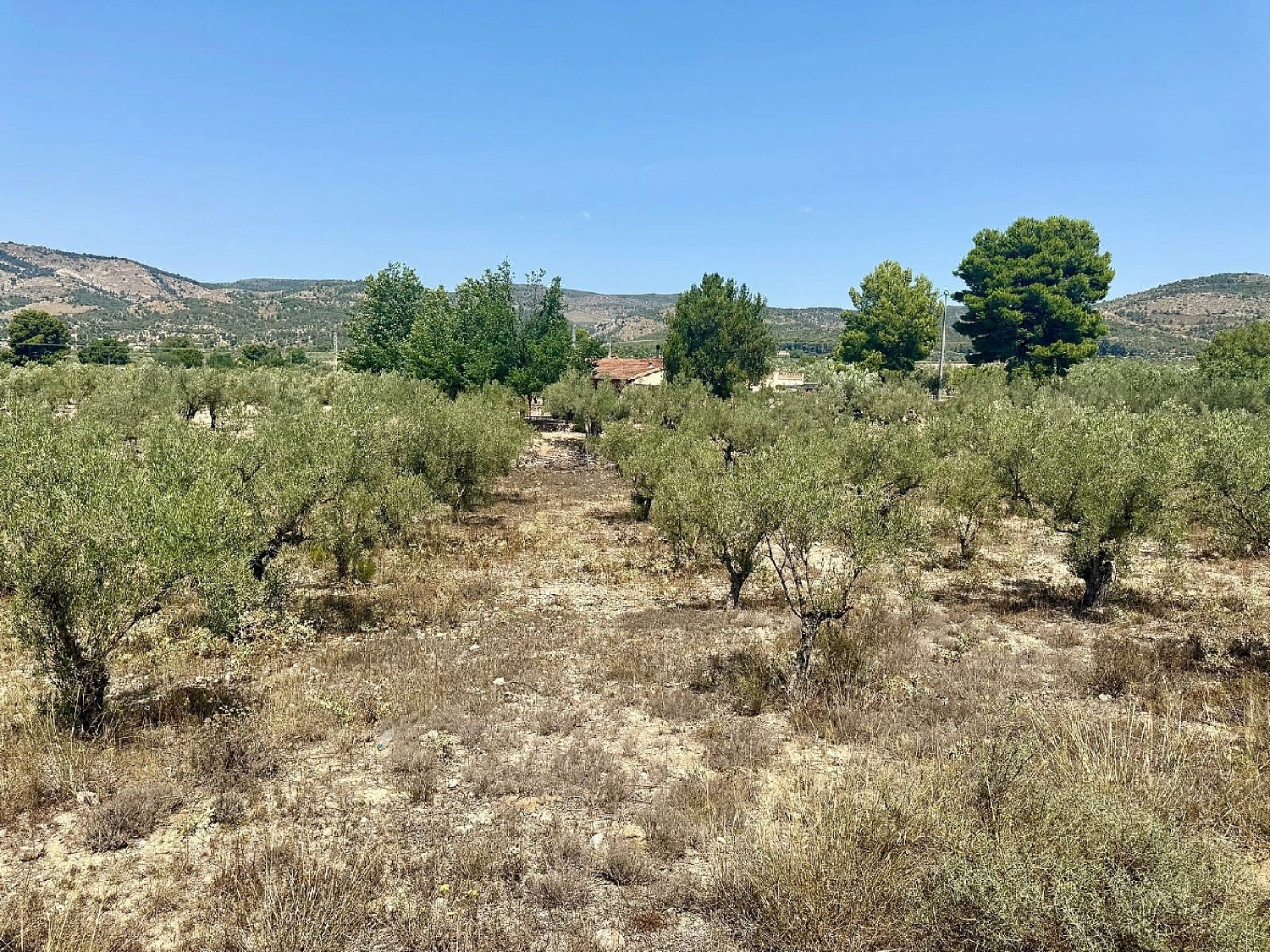  à vendre villa Onil Alcoia 23