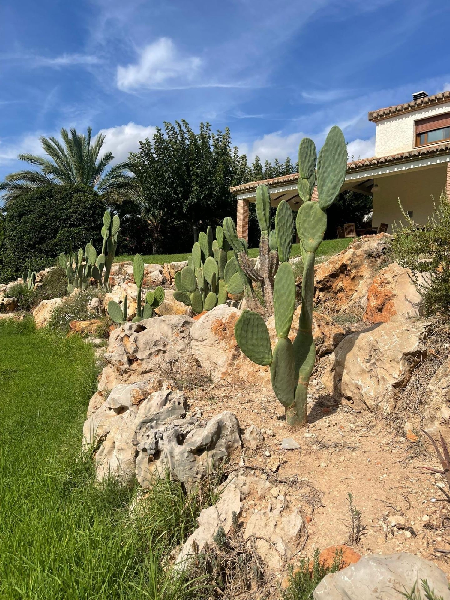  te koop villa Ontinyent Vall D'albaida 3