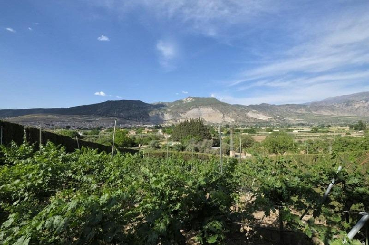  for sale villa Padules Alpujarra Almeriense 5