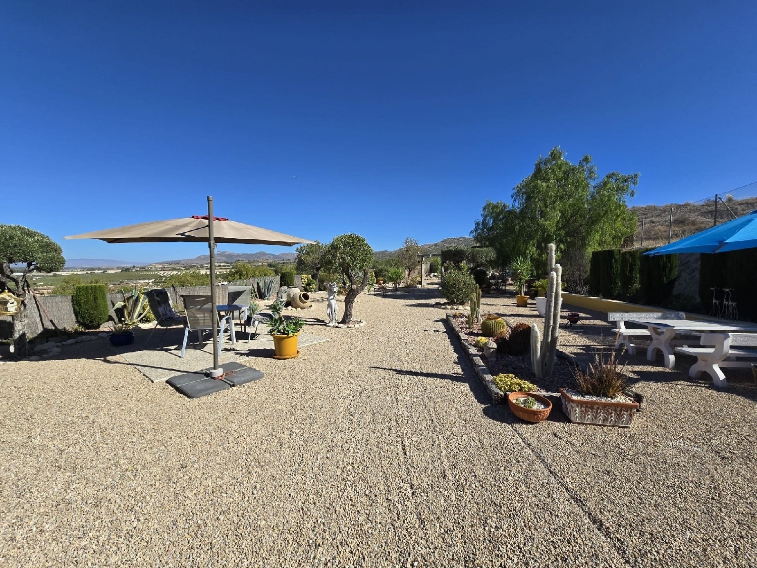  for sale villa Petrer Vinalopó Mitjà 31