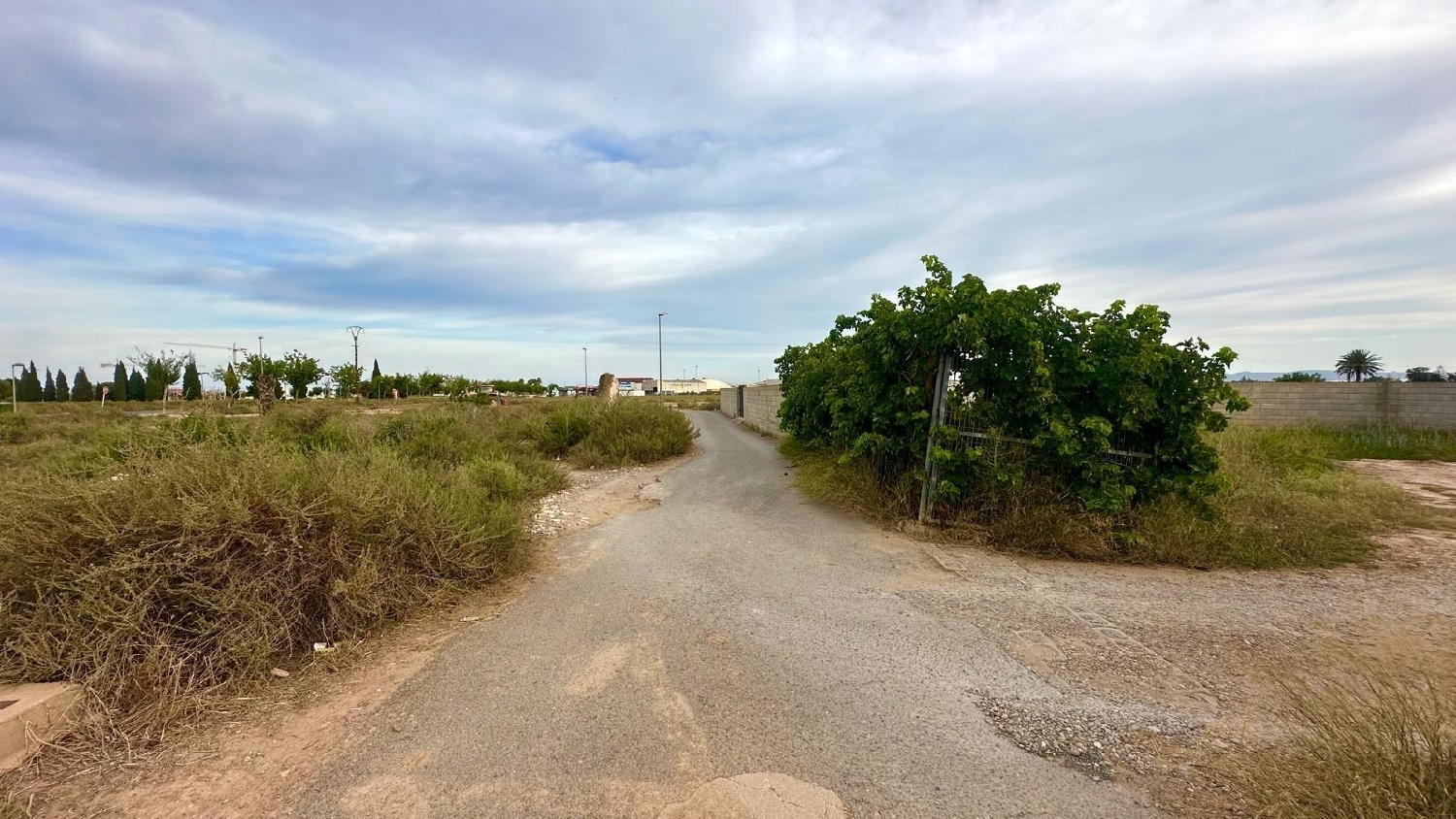 kaufen Villa Pilar De La Horadada Baix Segura 2