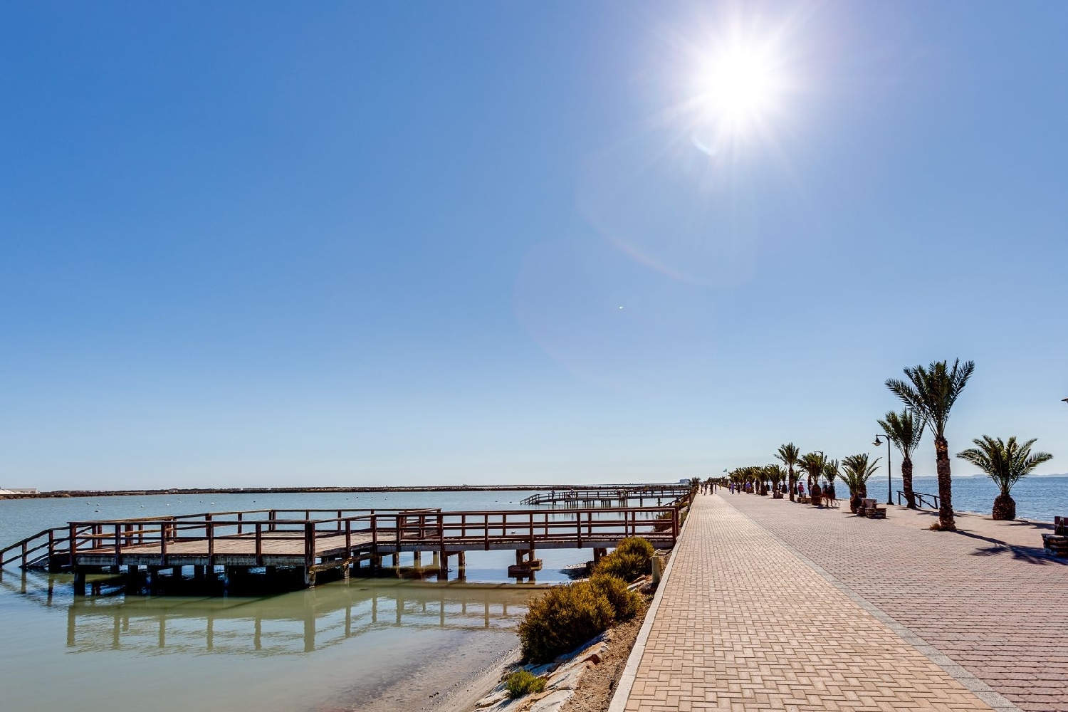  à vendre villa Pilar De La Horadada Baix Segura 3