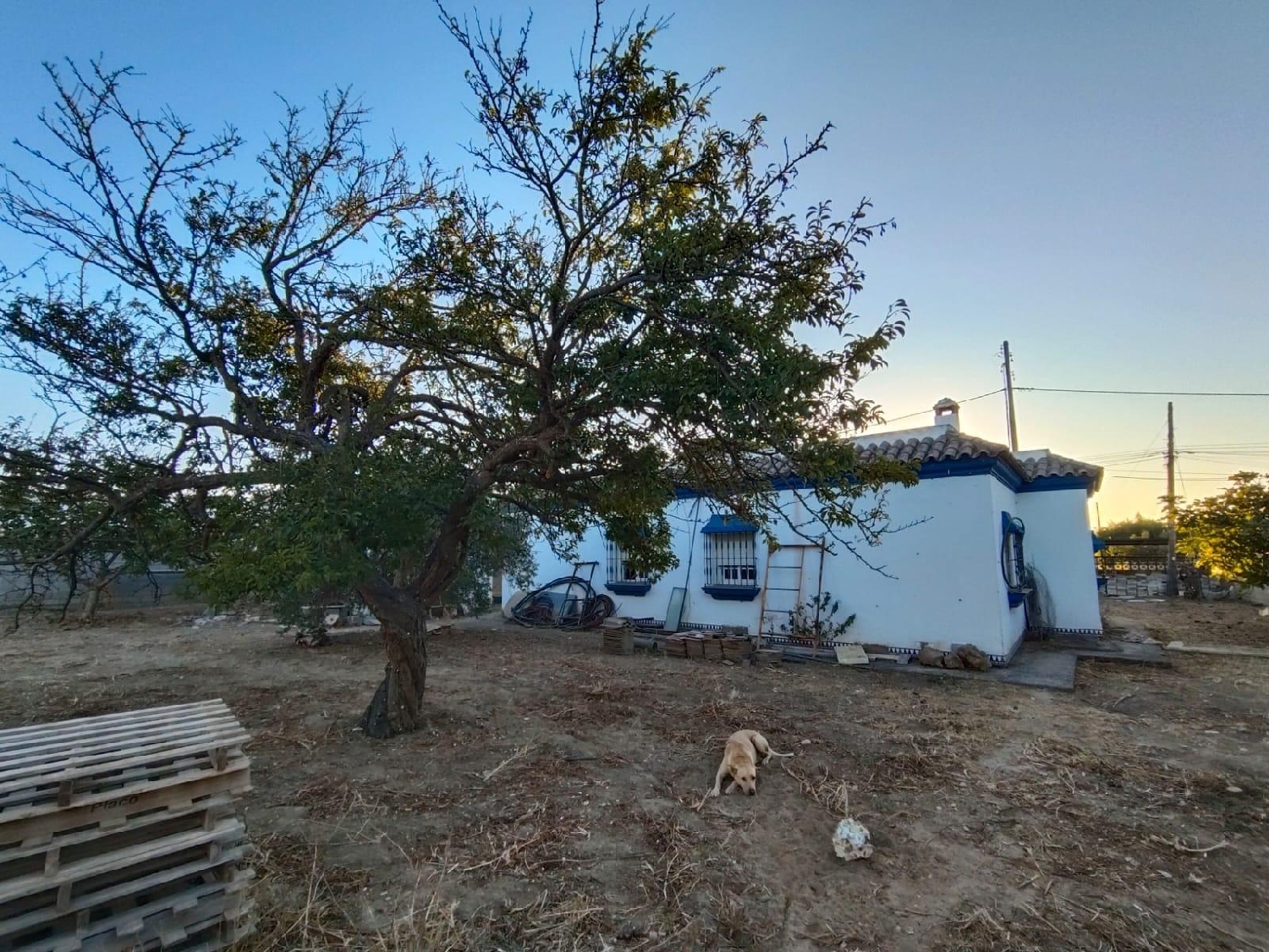  te koop villa Puerto Real Bahía De Cádiz 2