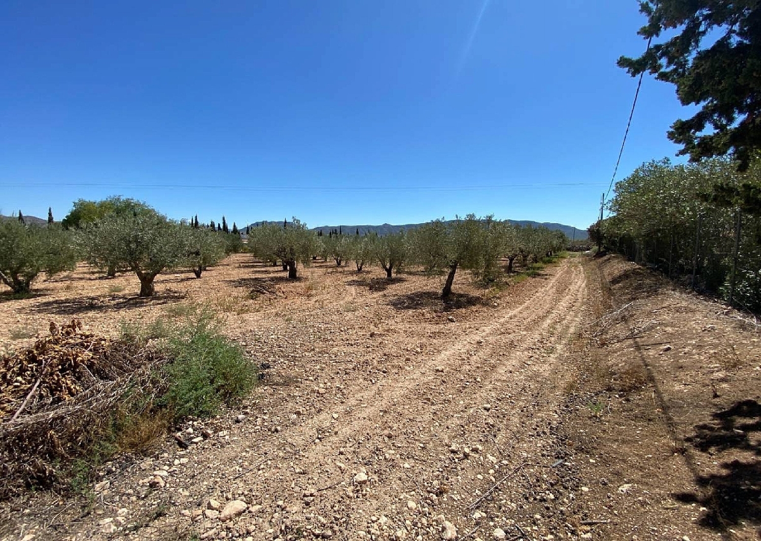  te koop villa Salinas Alt Vinalopó 25