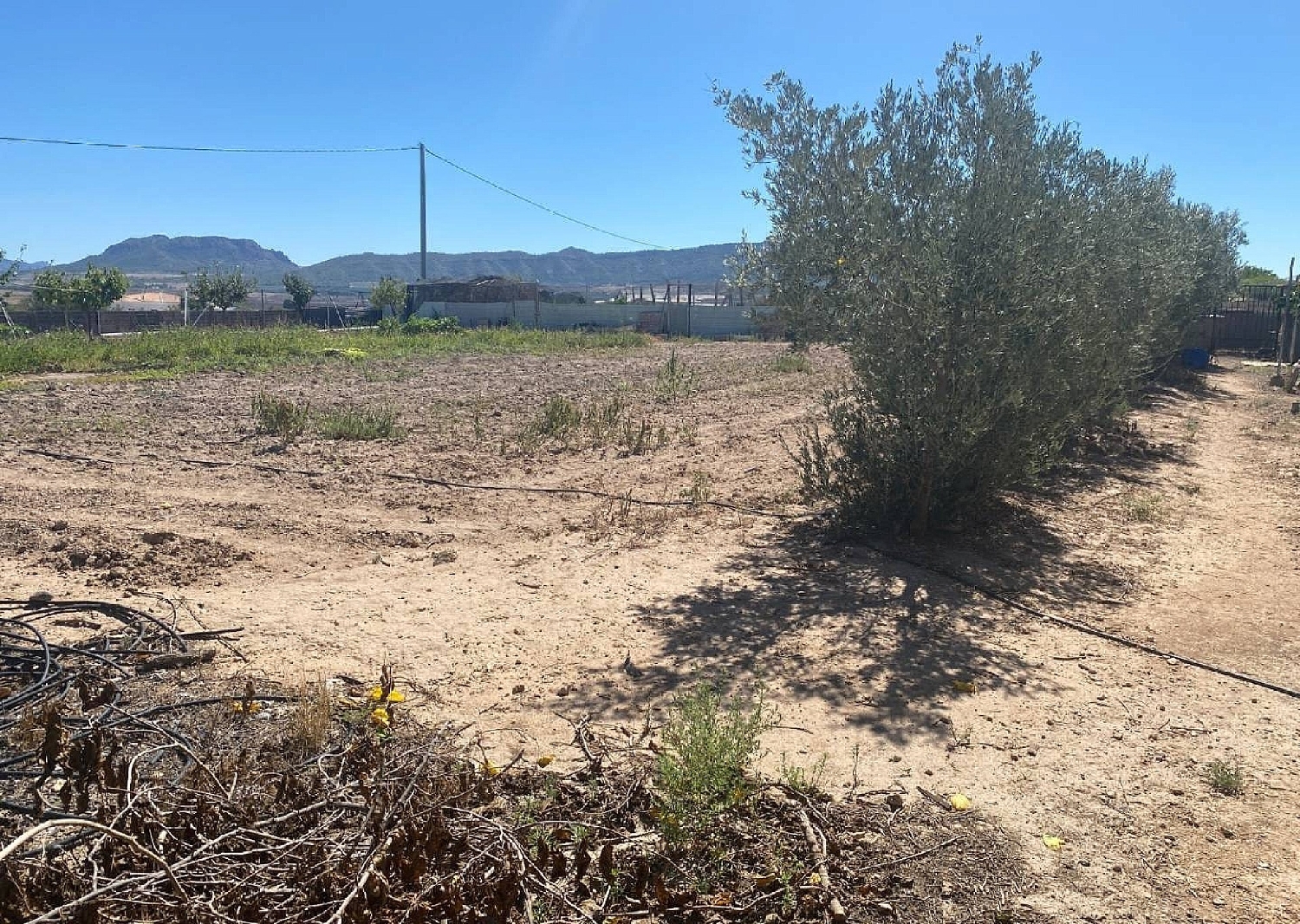  te koop villa Salinas Alt Vinalopó 17