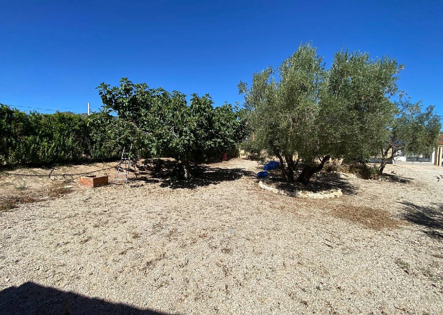  te koop villa Salinas Alt Vinalopó 16