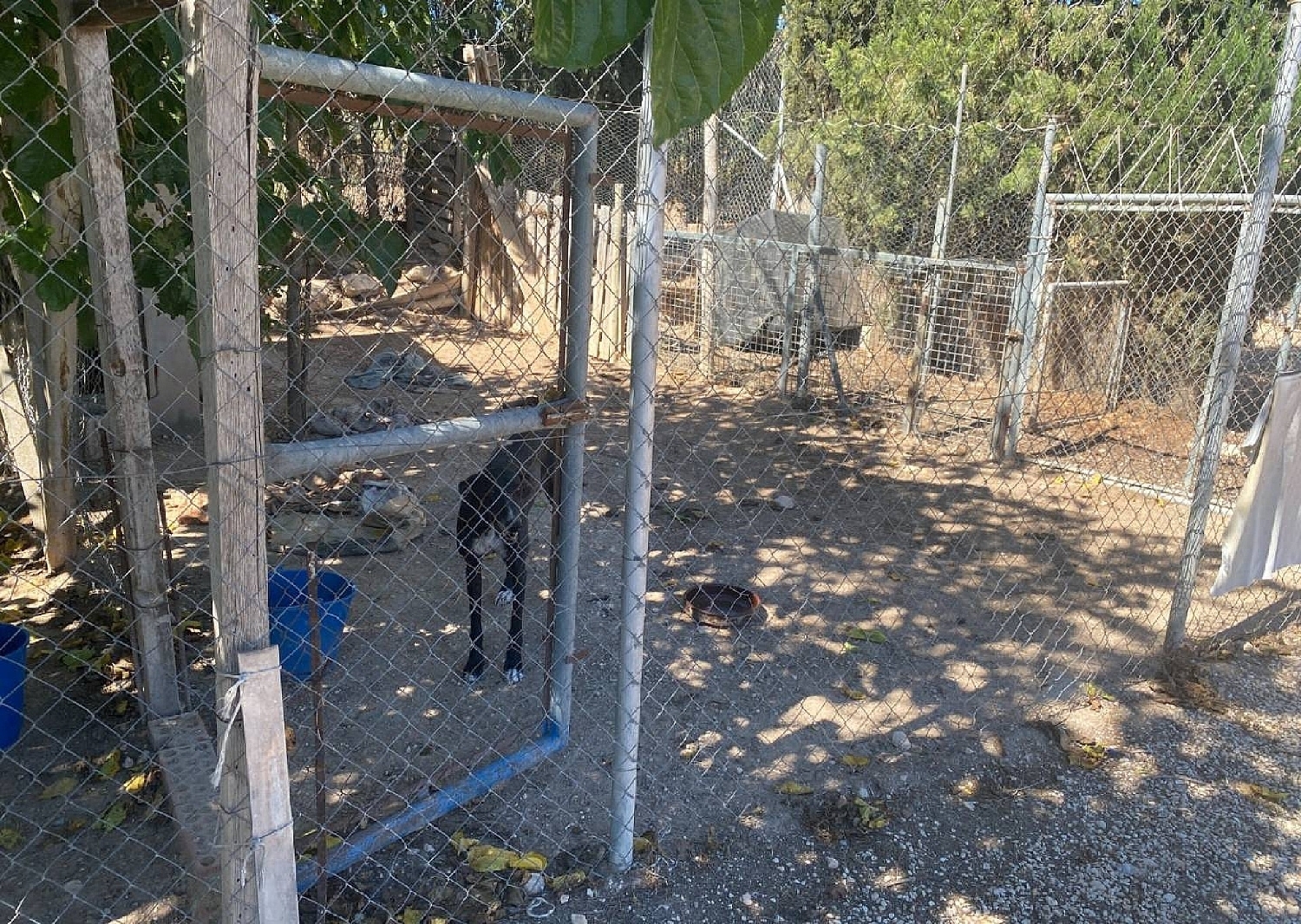  te koop villa Salinas Alt Vinalopó 23