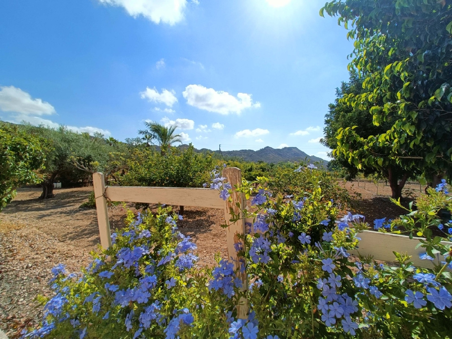  à vendre villa San Vicente Del Raspeig Alacantí 12