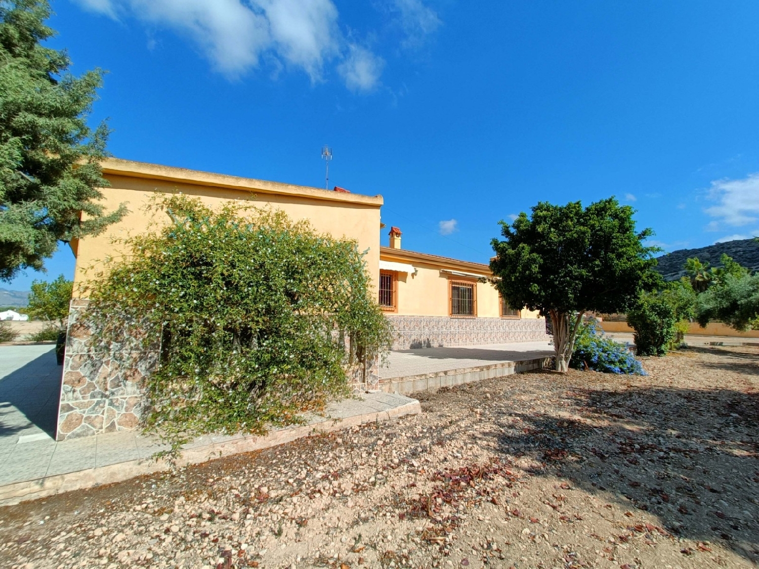  till salu villa San Vicente Del Raspeig Alacantí 14