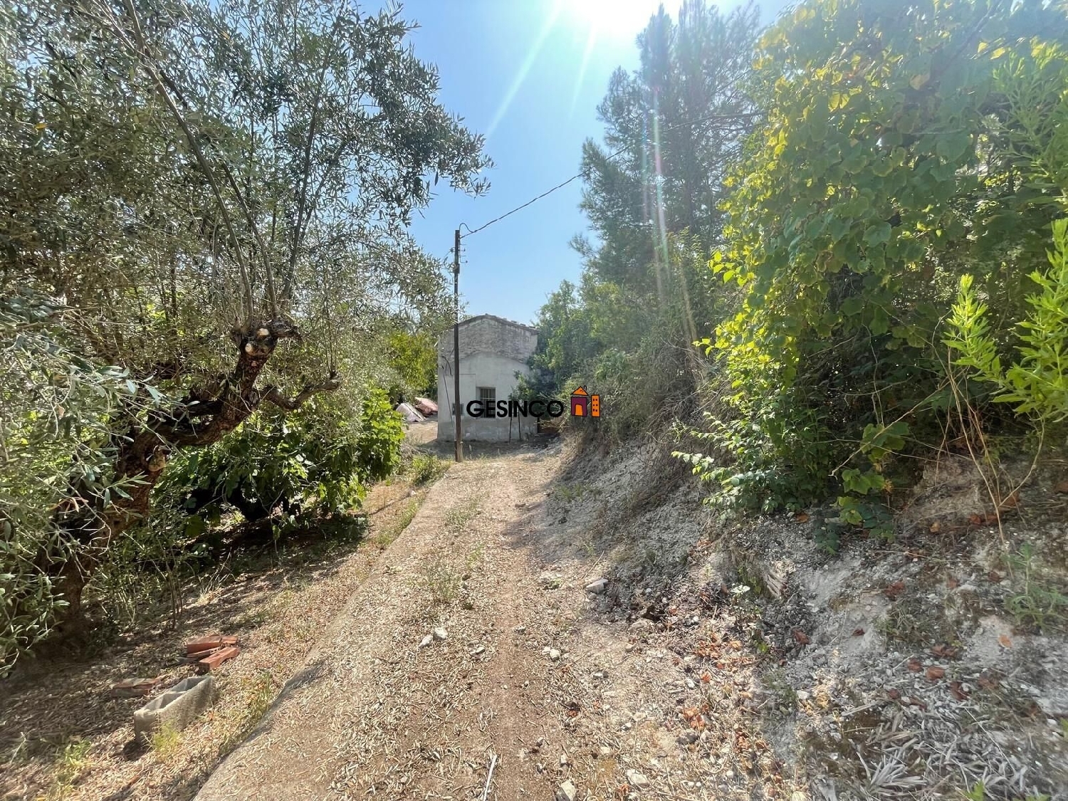  for sale villa Xàtiva Costera (La) 5